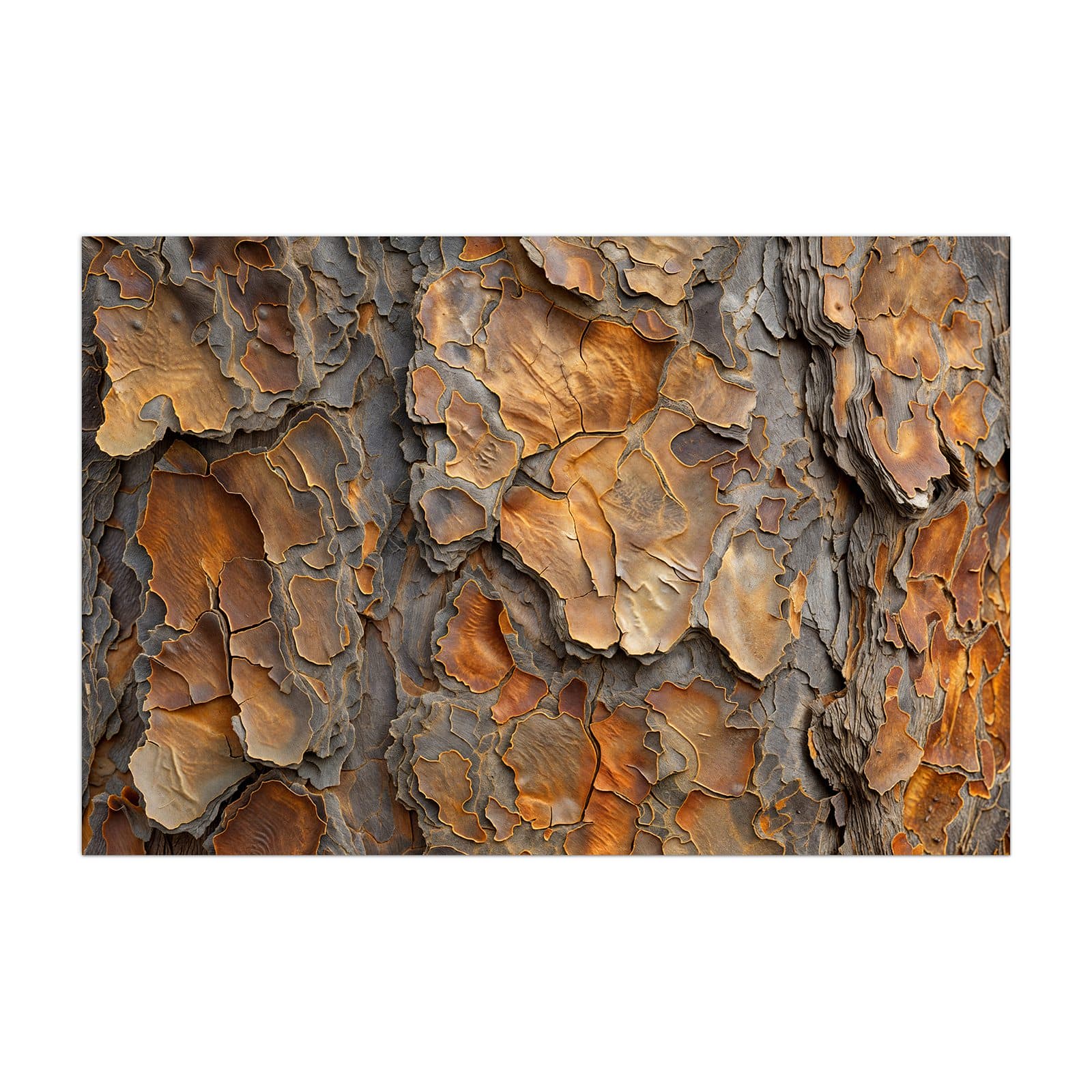 #grösse_40 x 60 cm #grösse_50 x 75 cm #grösse_60 x 90 cm #grösse_80 x 120 cm