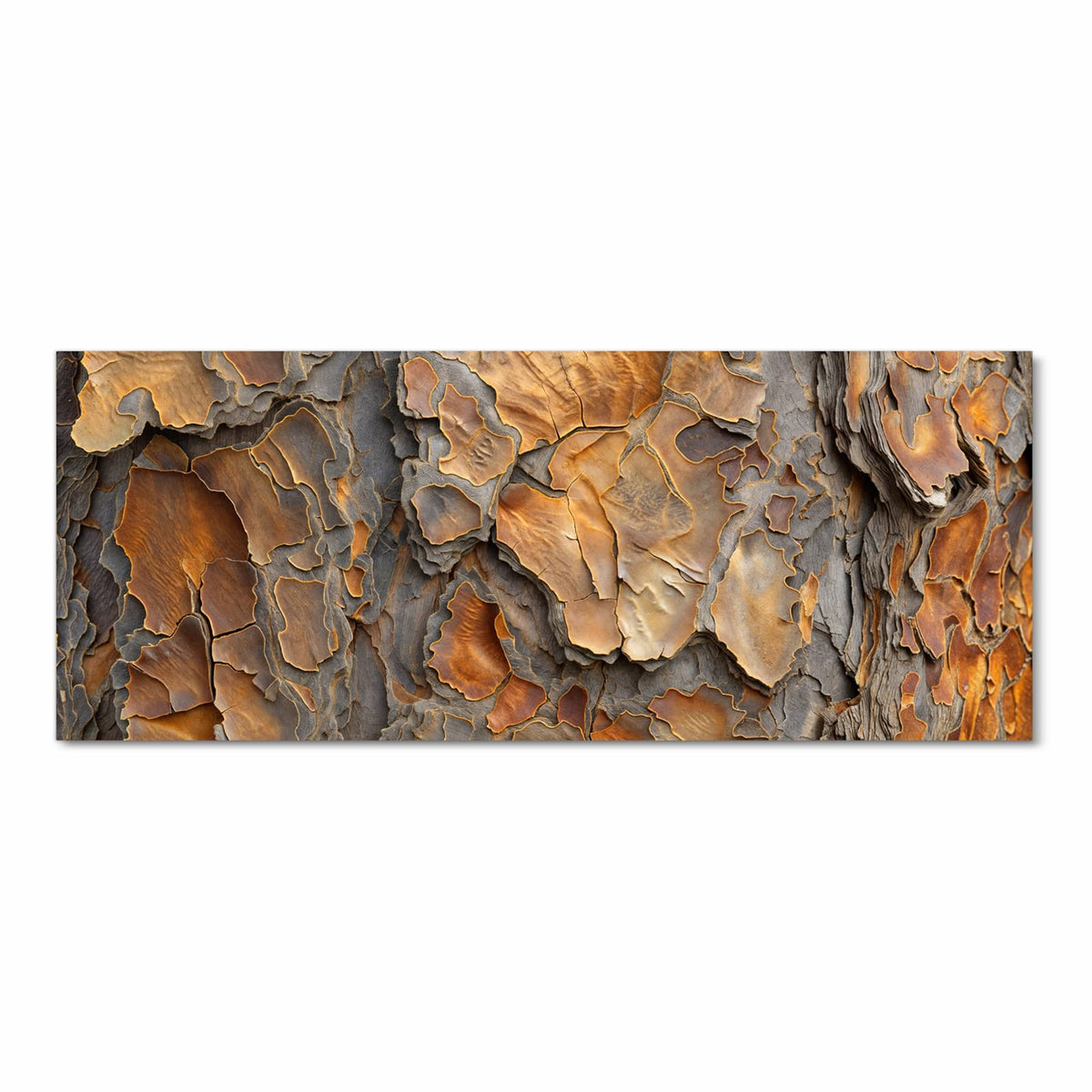 Nahaufnahme von Kiefernrinde mit orangebraunen, abblätternden Schuppenplatten
