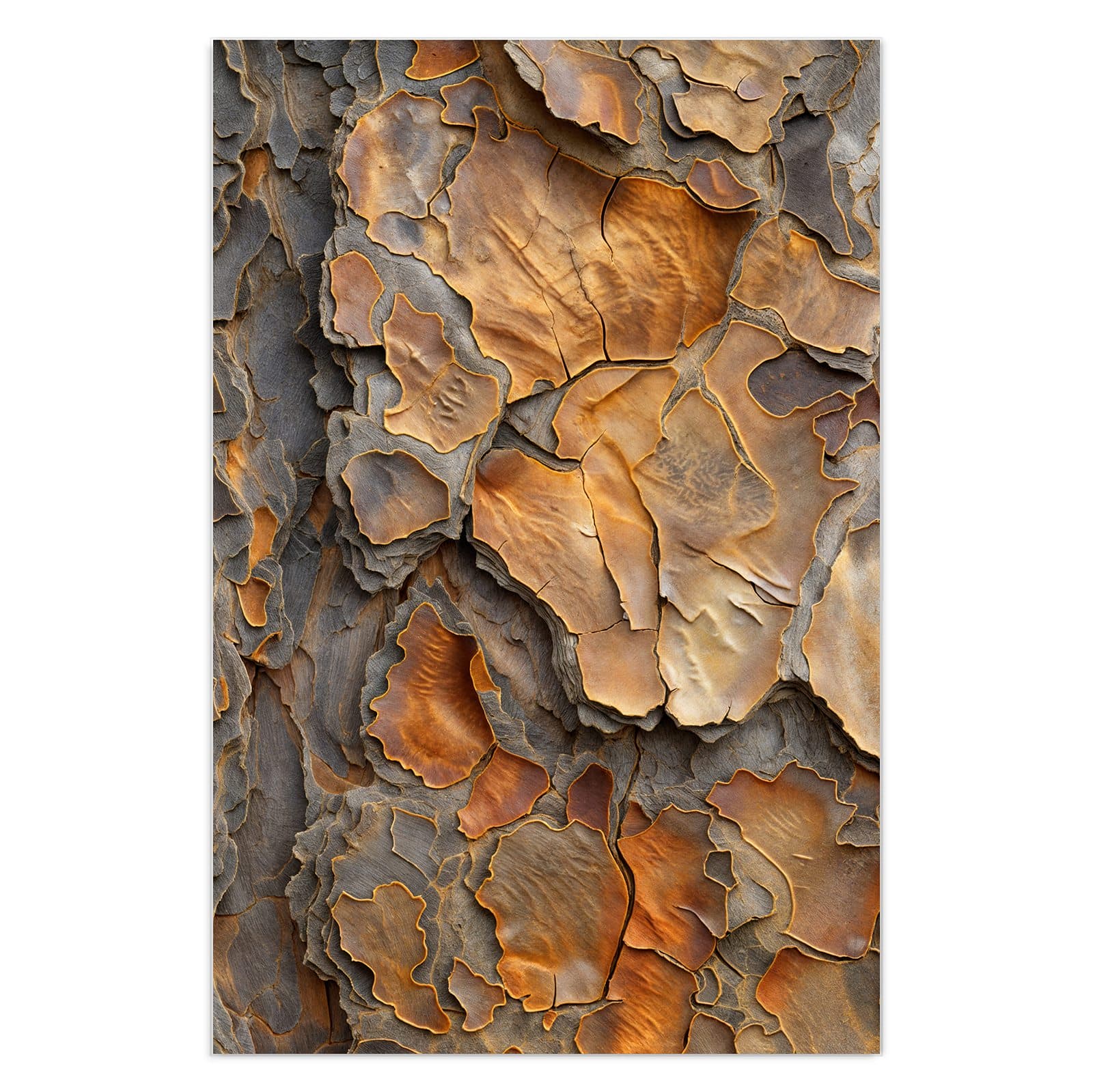 #grösse_40 x 60 cm #grösse_50 x 75 cm #grösse_60 x 90 cm