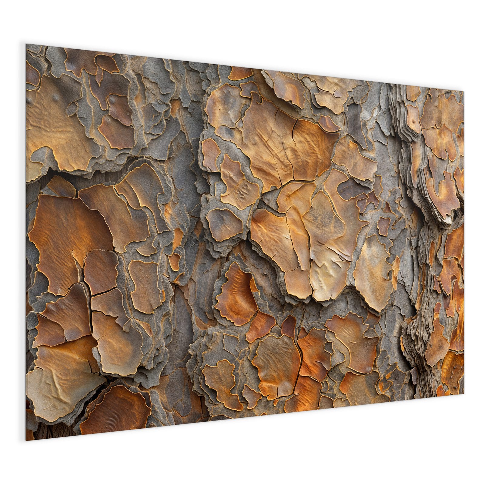 #grösse_120 x 90 cm