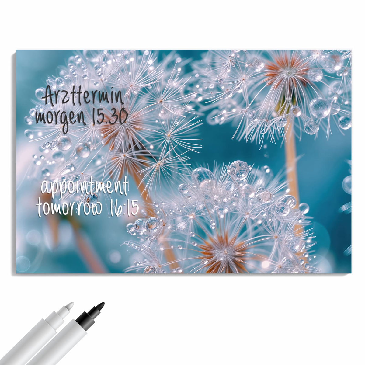 Beschreiben, abwischen, anheften – Metall Magnettafel - Pusteblumen mit Tropfen