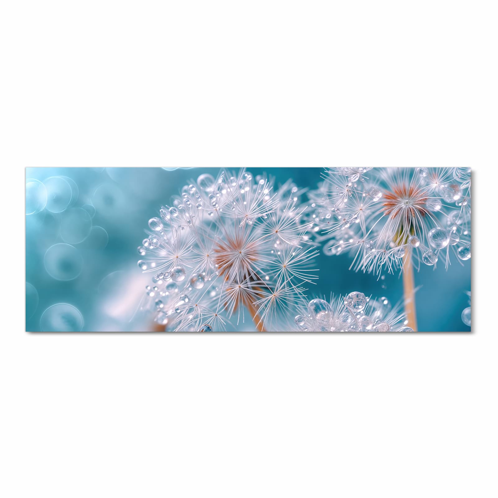 Komfortabler Küchenläufer mit Motiv Wassertropfen Pusteblume in Frontansicht