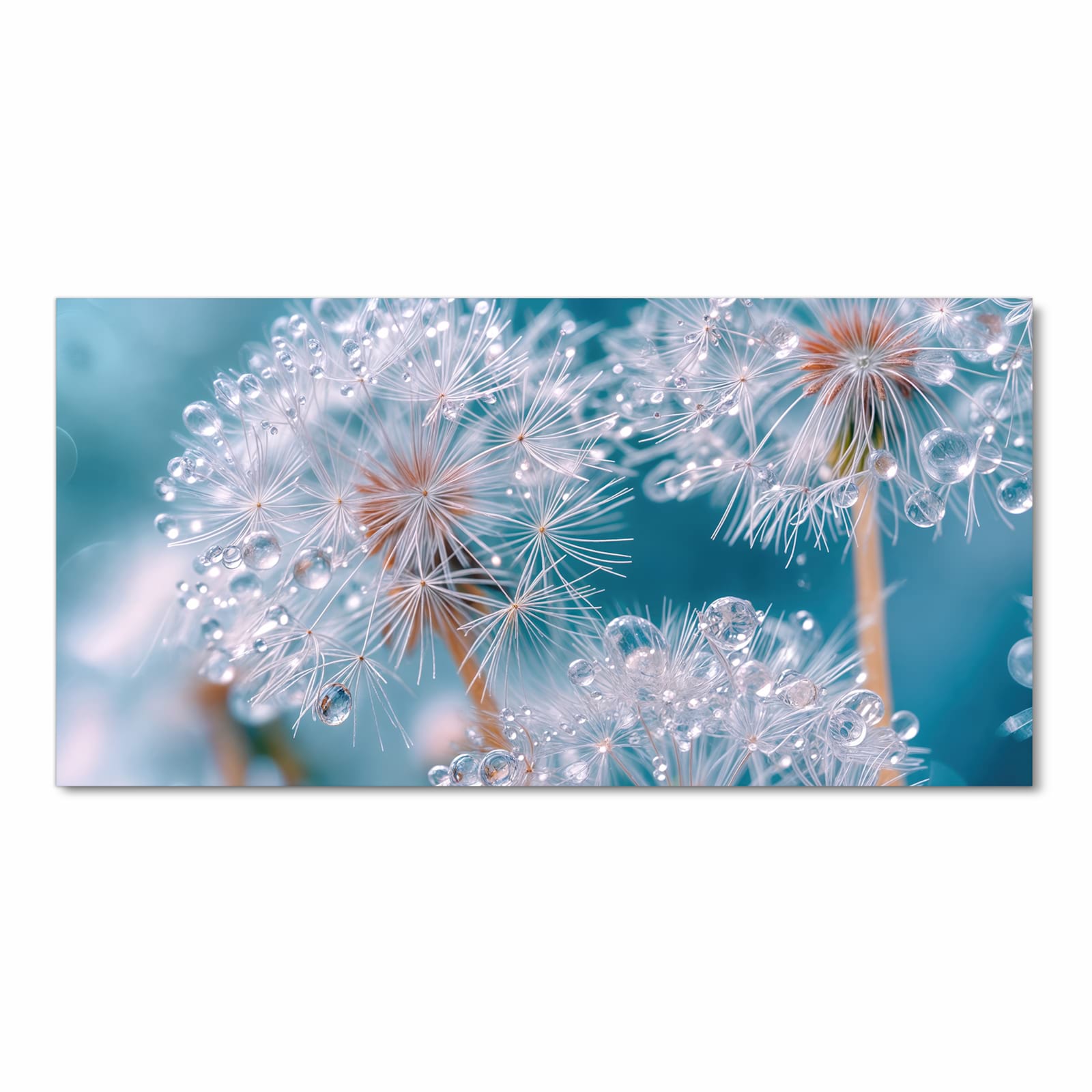 Abriebfester Küchenteppich mit Motiv Wassertropfen Pusteblume in Frontansicht - waschbar