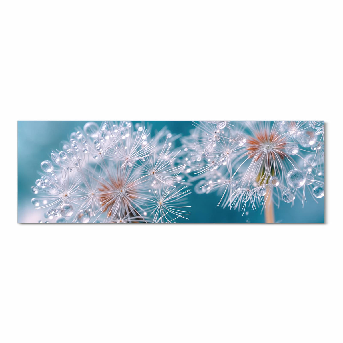 Rutschfester Küchenteppich mit Motiv Wassertropfen Pusteblume in Frontansicht für Trittkomfort