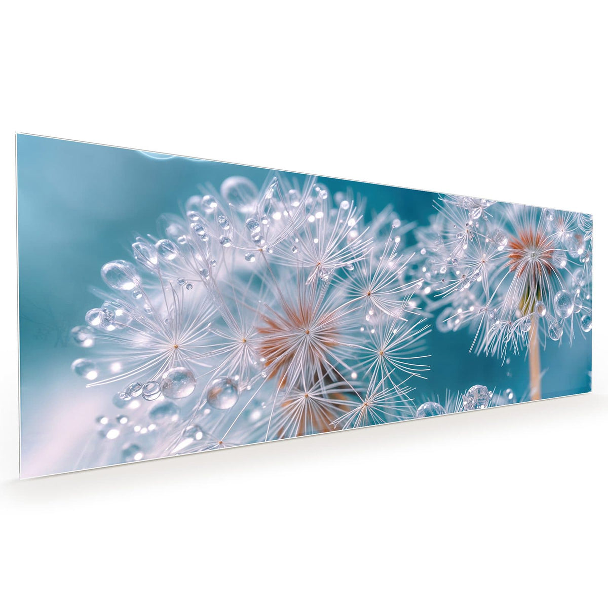 #grösse_40 x 100 cm #grösse_50 x 125 cm #grösse_60 x 150 cm