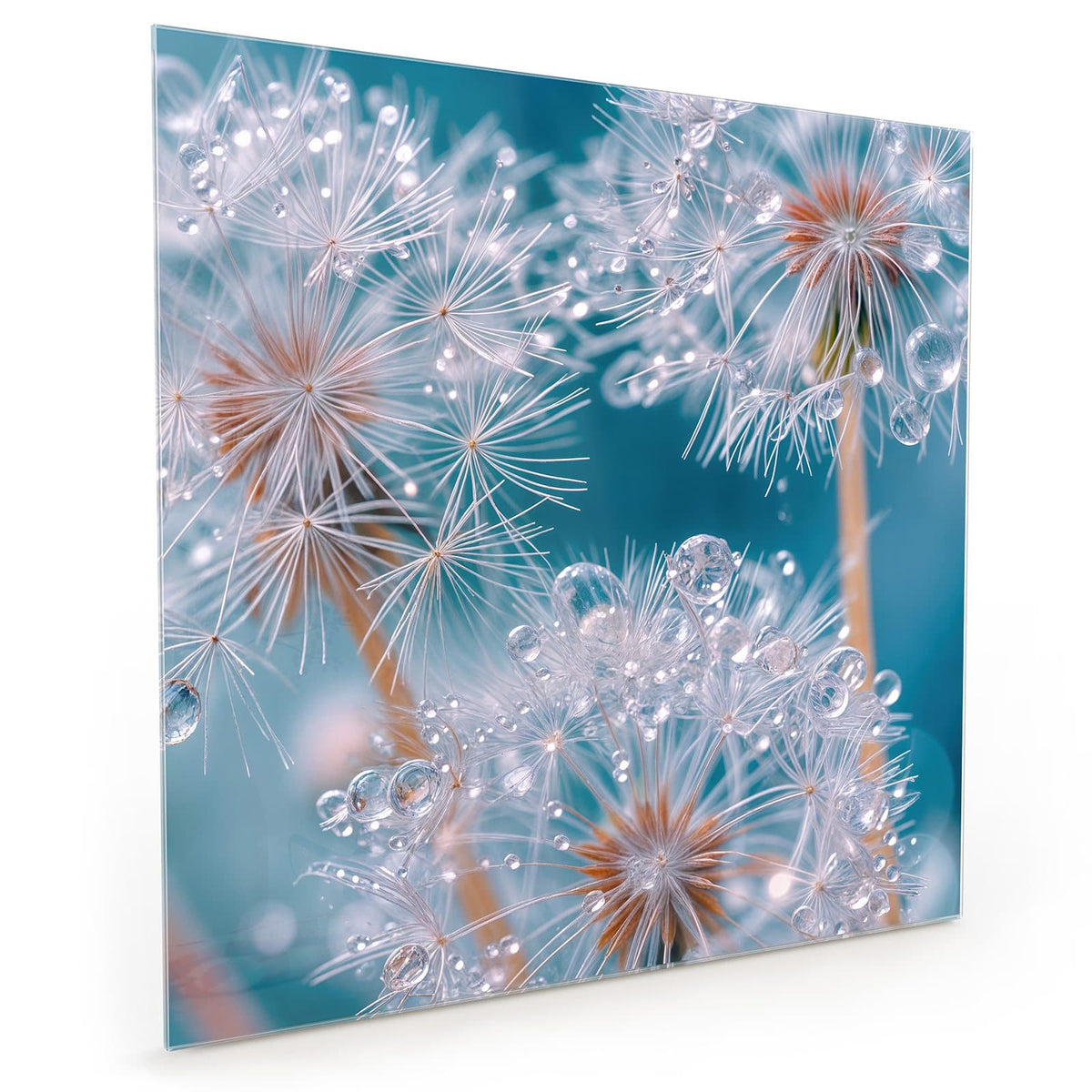 #grösse_40 x 40 cm #grösse_50 x 50 cm #grösse_60 x 60 cm