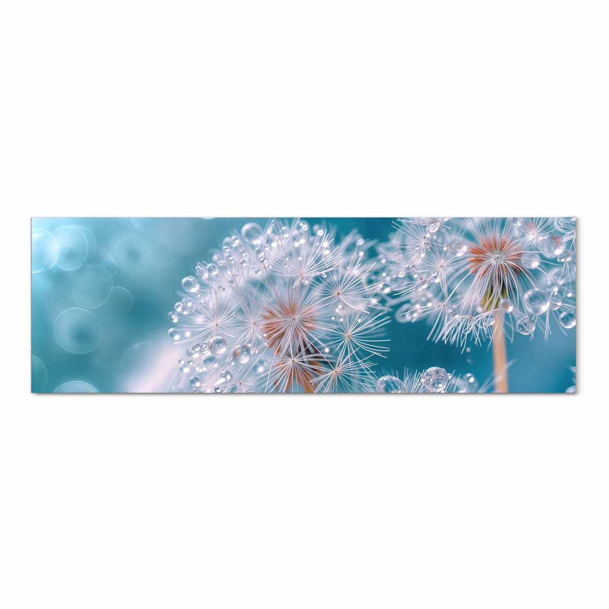 Langlebiger rutschfester Küchenteppich mit Motiv Wassertropfen Pusteblume in Frontansicht