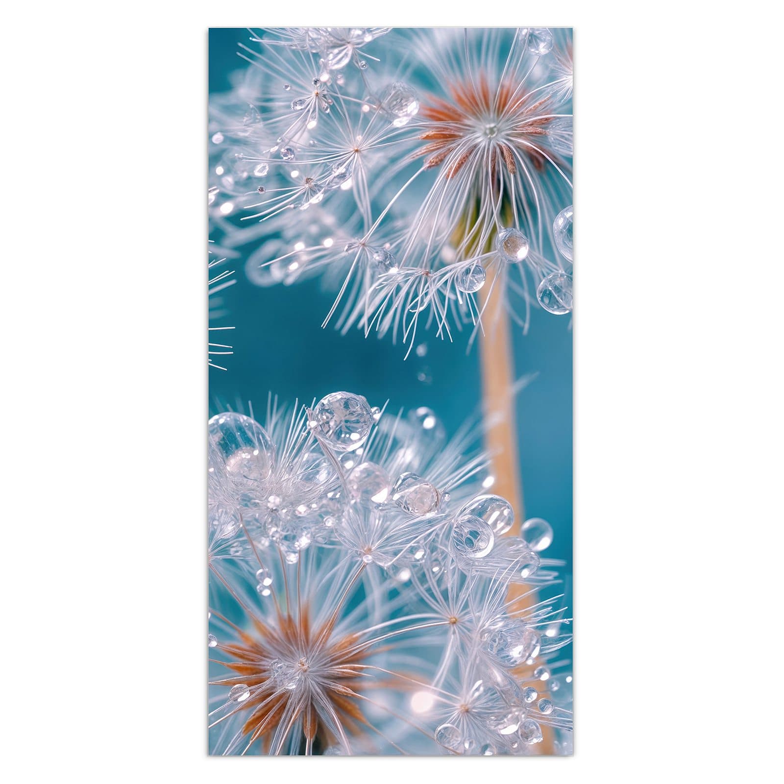 #grösse_30 x 60 cm #grösse_40 x 80 cm #grösse_50 x 100 cm #grösse_55 x 110 cm #grösse_60 x 120 cm