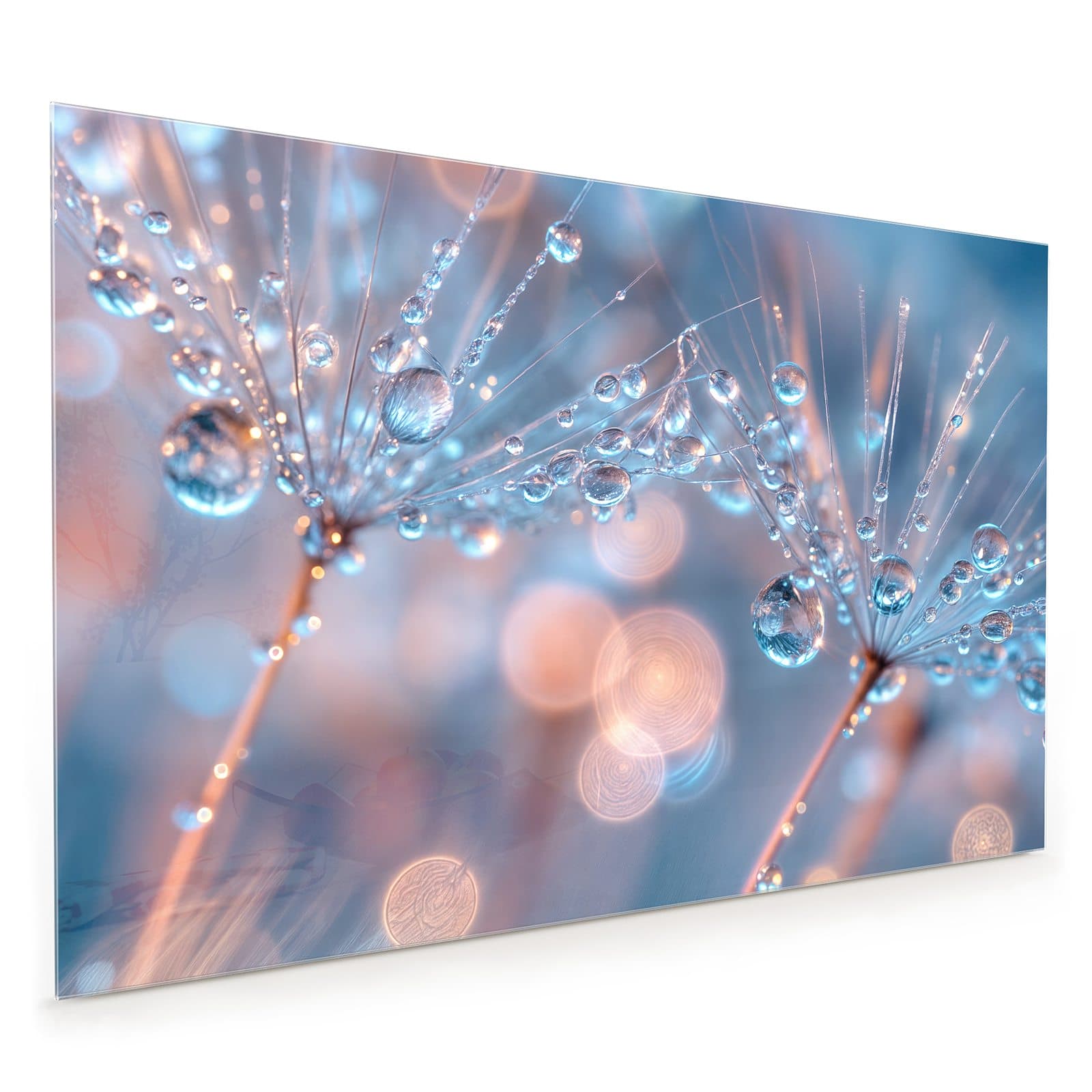 #80 x 120 cm_