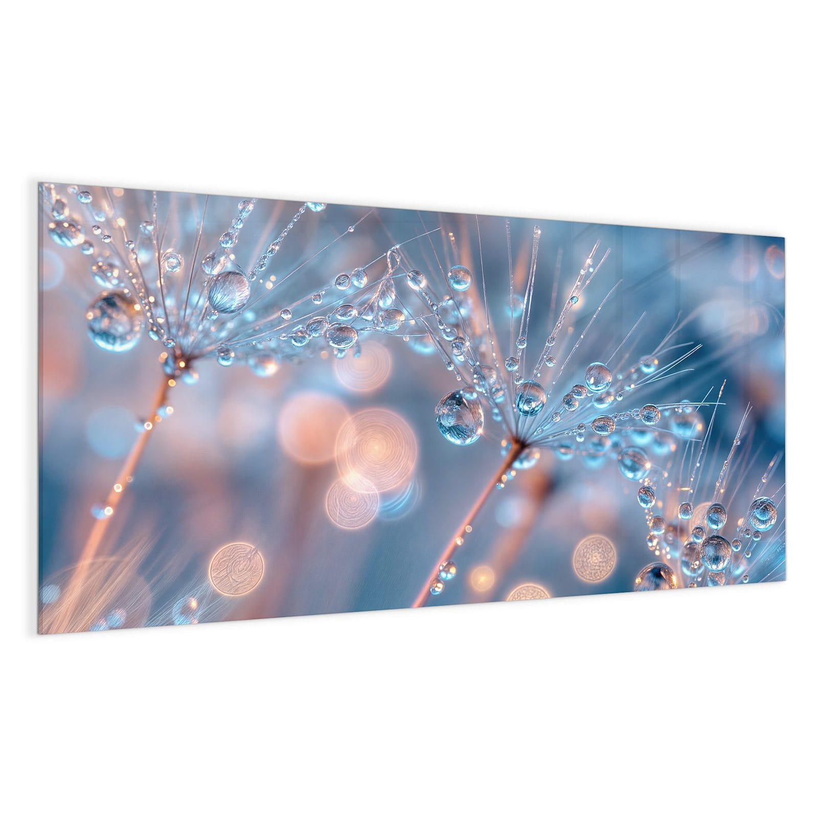 #grösse_100 x 50 cm