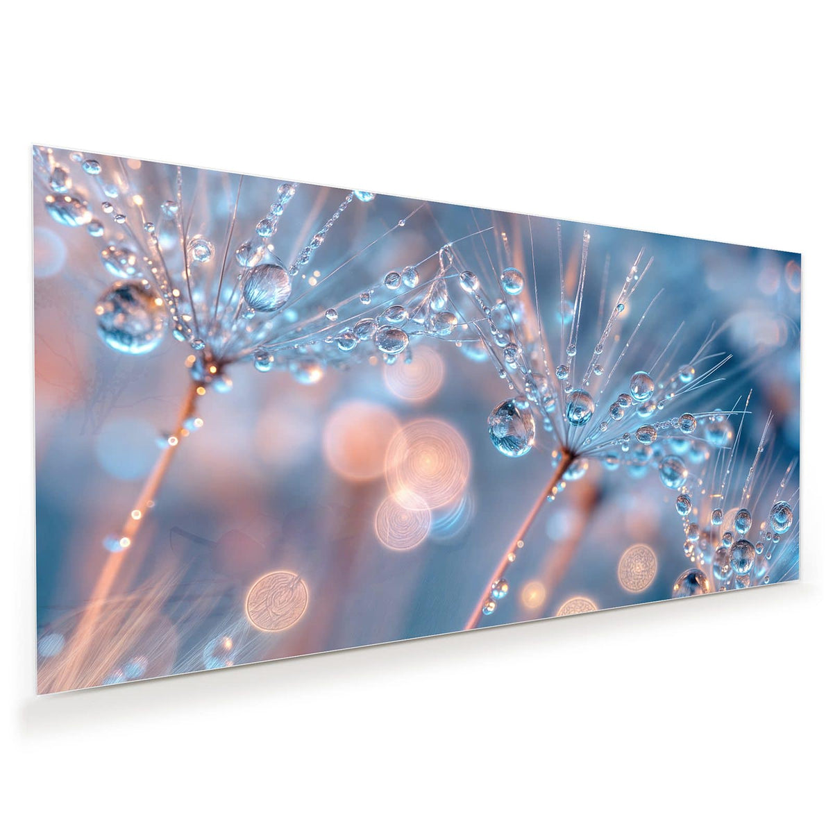 Blau getöntes Makro: Samenschirme voller glasklarer Tropfen vor blauem Bokeh.