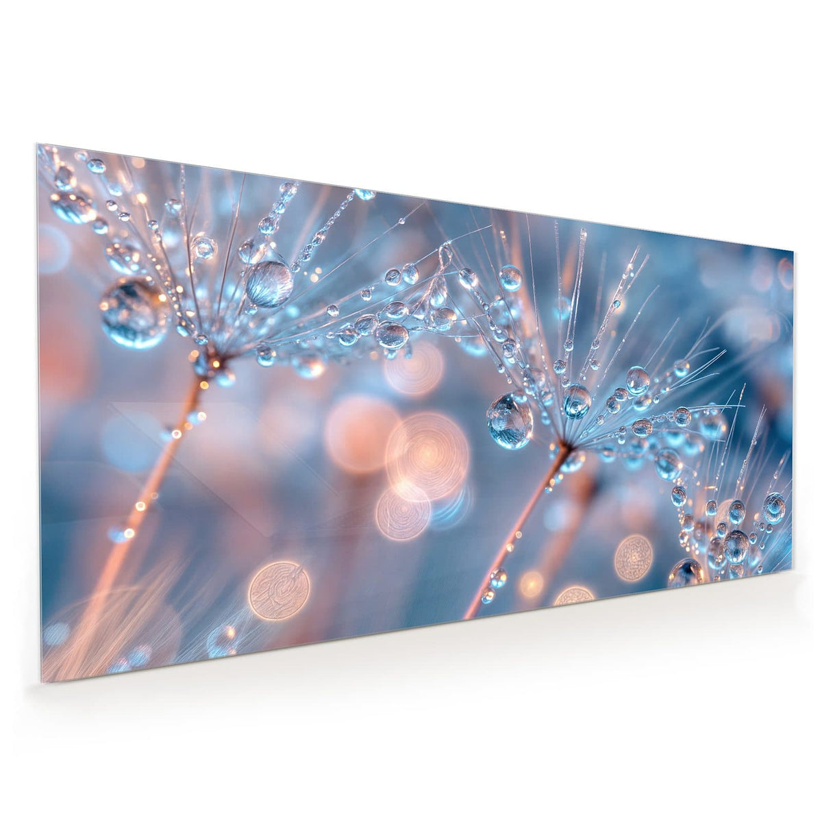 Küchenrückwand aus Glas im Hochformat mit Motiv Tautropfen in Blau: Blau getöntes Makro: Samenschirme voller glasklarer Tropfen vor blauem Bokeh.