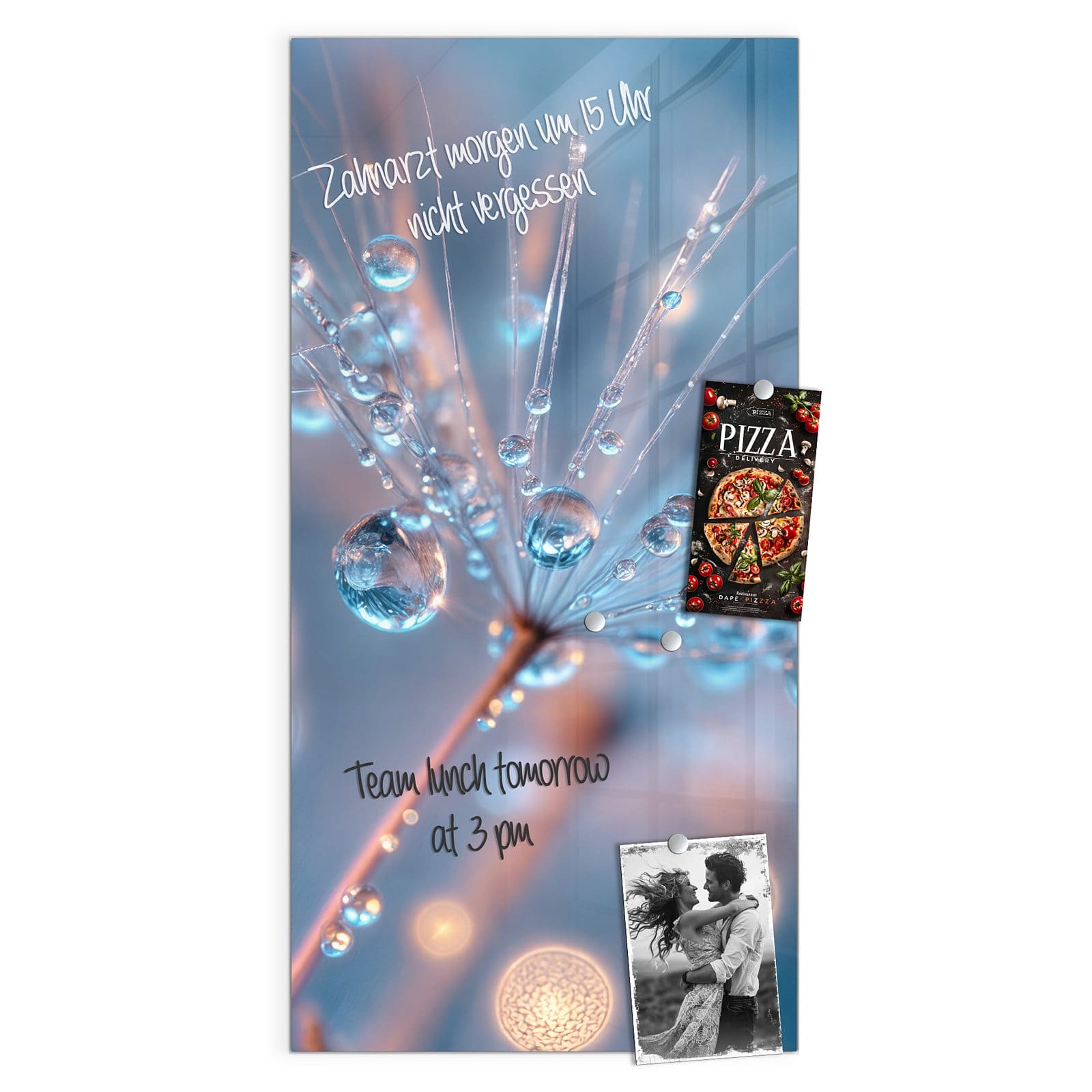 #grösse_50 x 100 cm