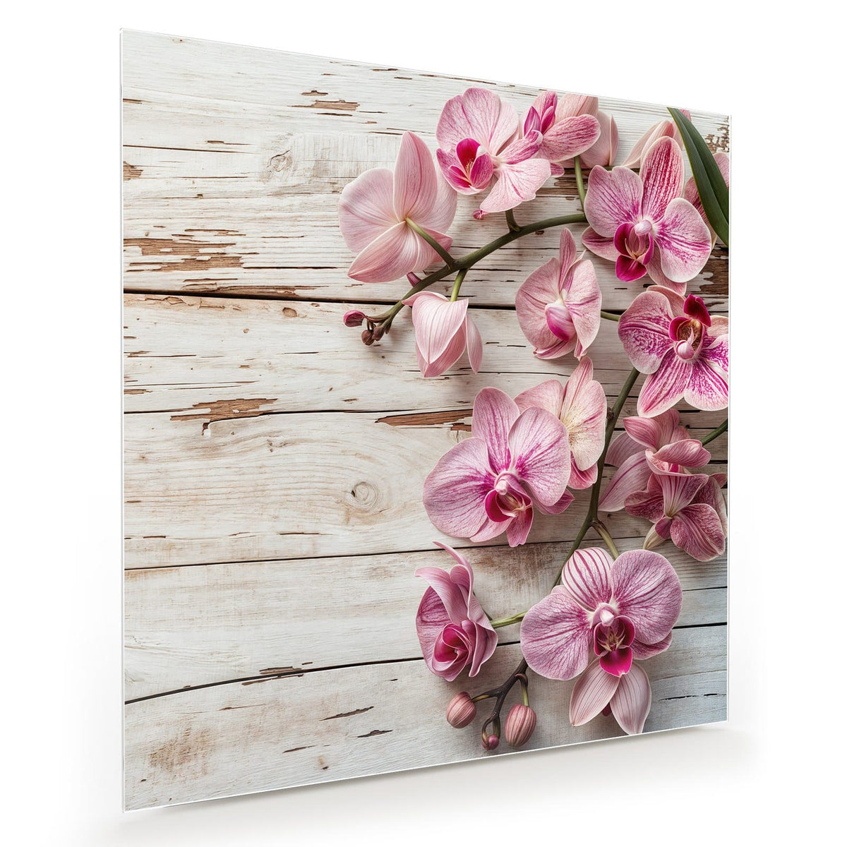 Rosa Orchideenblüten auf weiß verwittertem Holz
