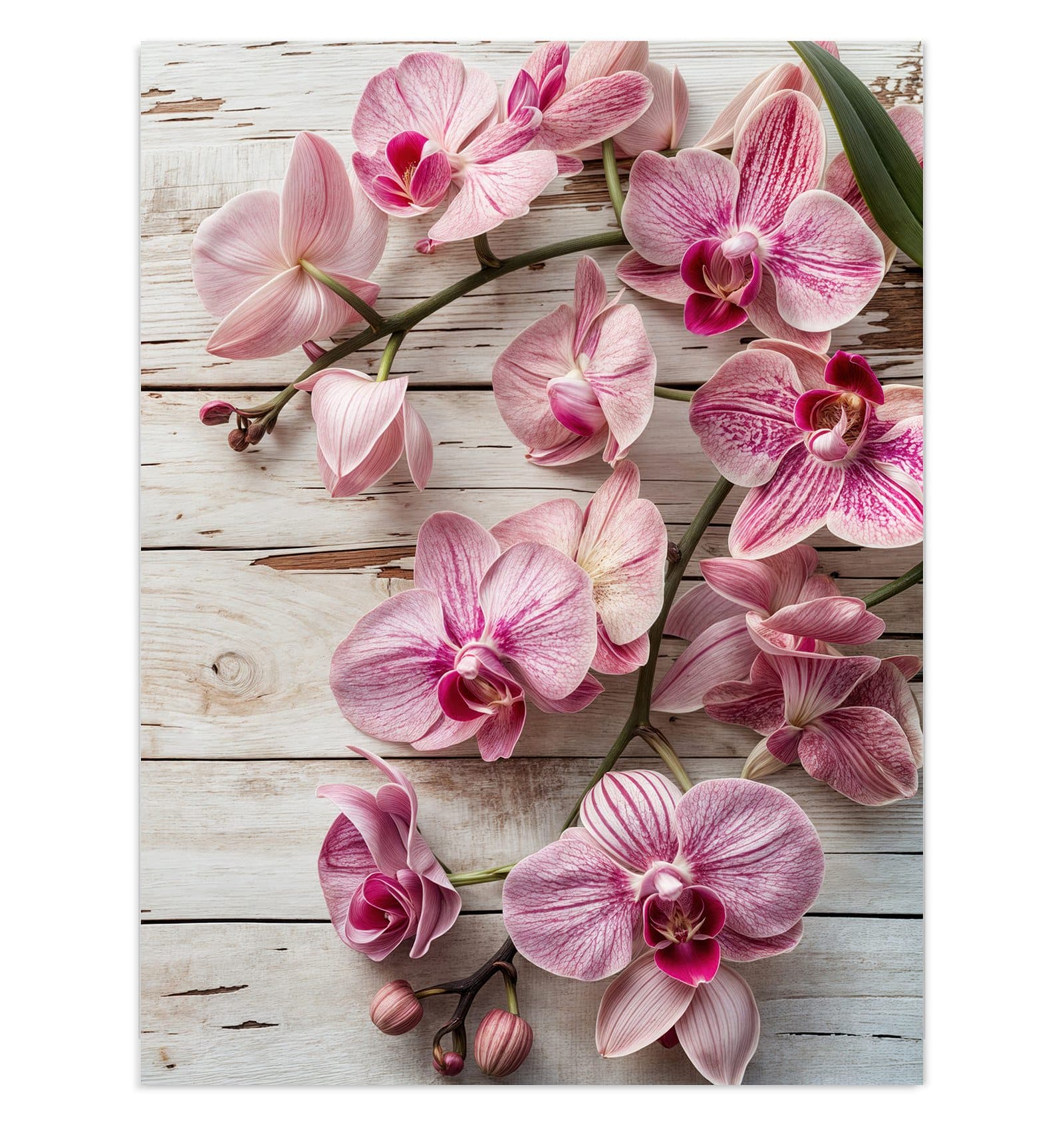 #grösse_30 x 40 cm #grösse_60 x 80 cm #grösse_75 x 100 cm