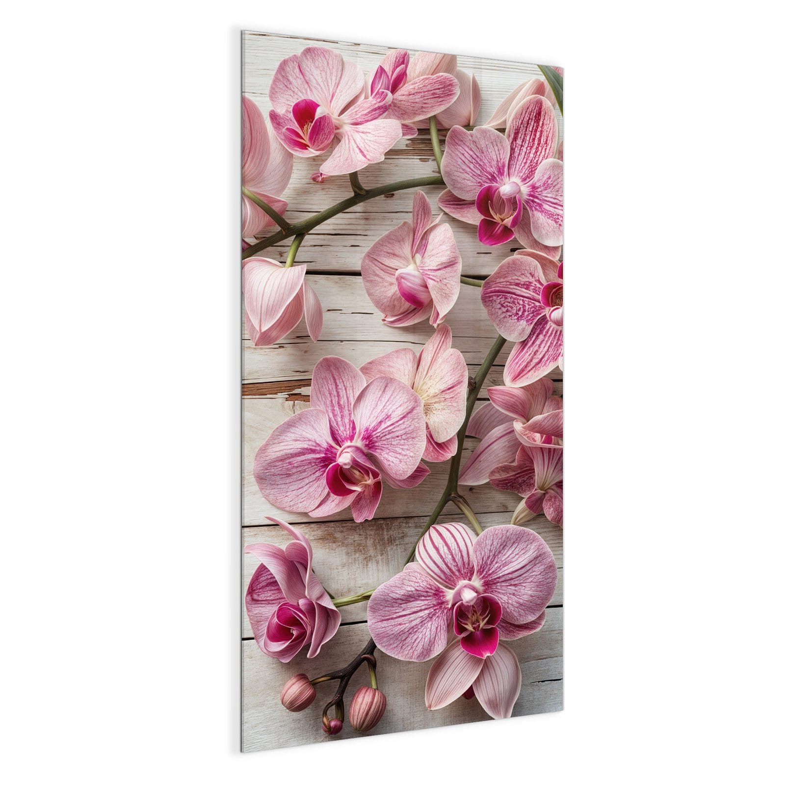 #grösse_50 x 100 cm