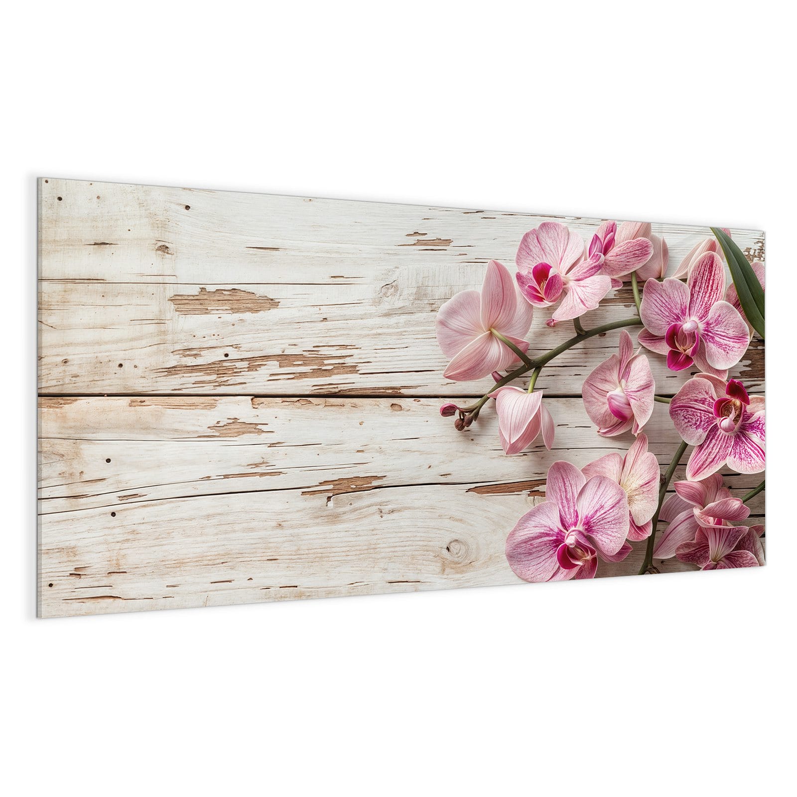 #grösse_100 x 50 cm