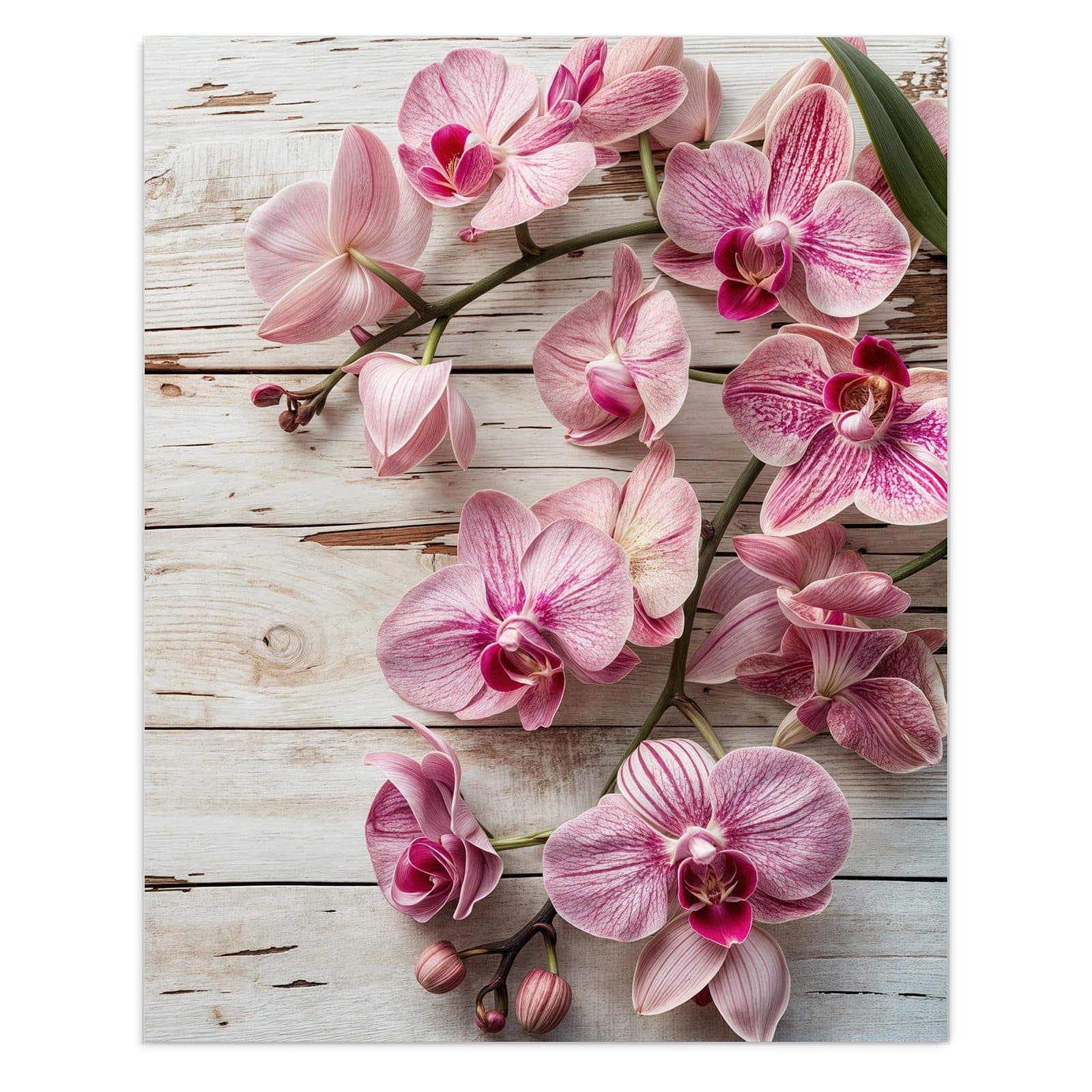 #grösse_60 x 75 cm #grösse_80 x 100 cm