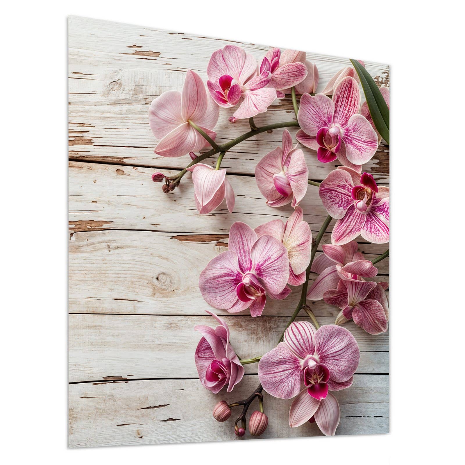 #grösse_90 x 100 cm