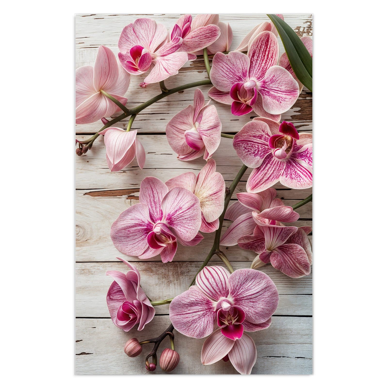 #grösse_40 x 60 cm #grösse_50 x 75 cm #grösse_60 x 90 cm