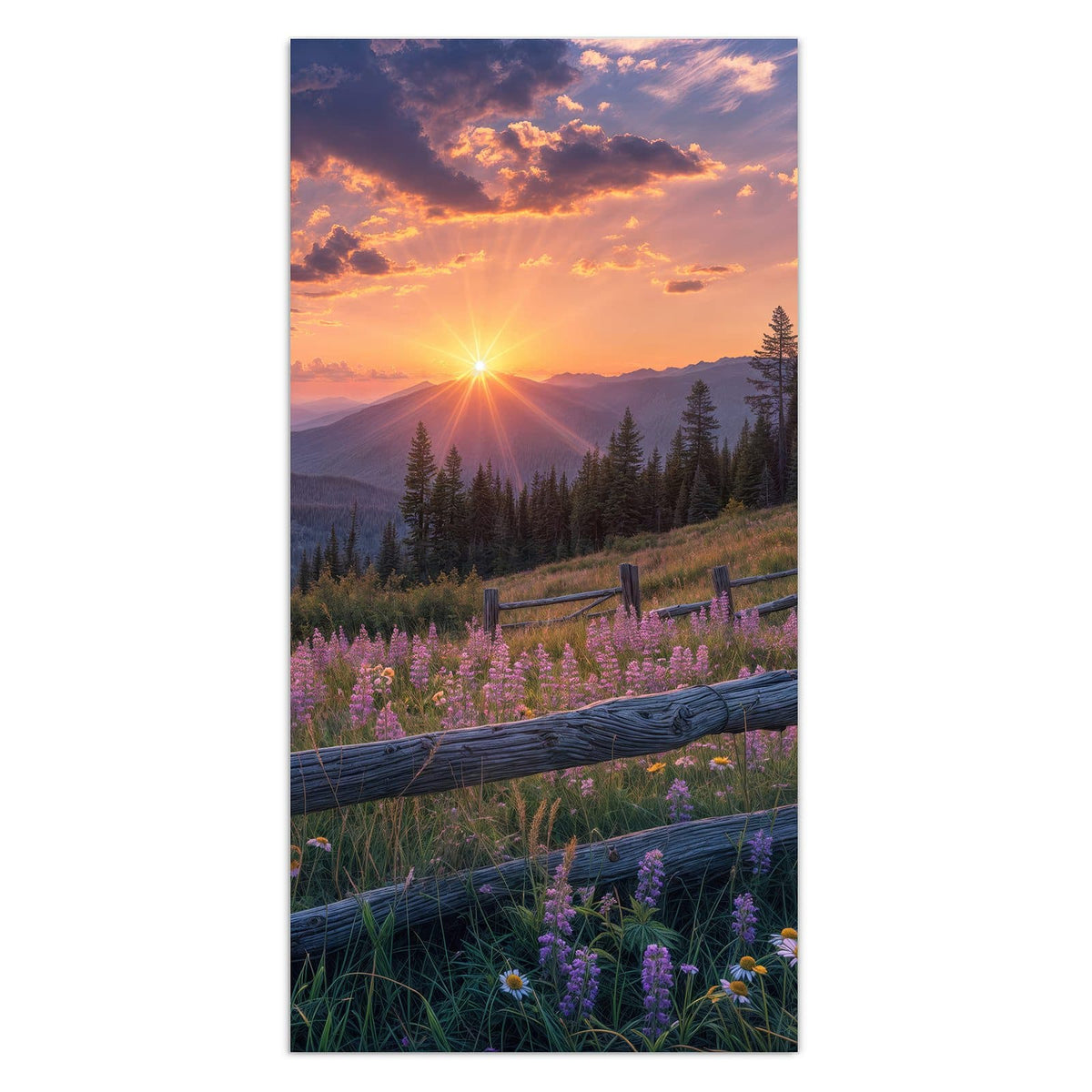 11 Größen – von 30 × 60 bis 60 × 150 cm – Wandbild - Lila Blüten am Zaun - Hochformat