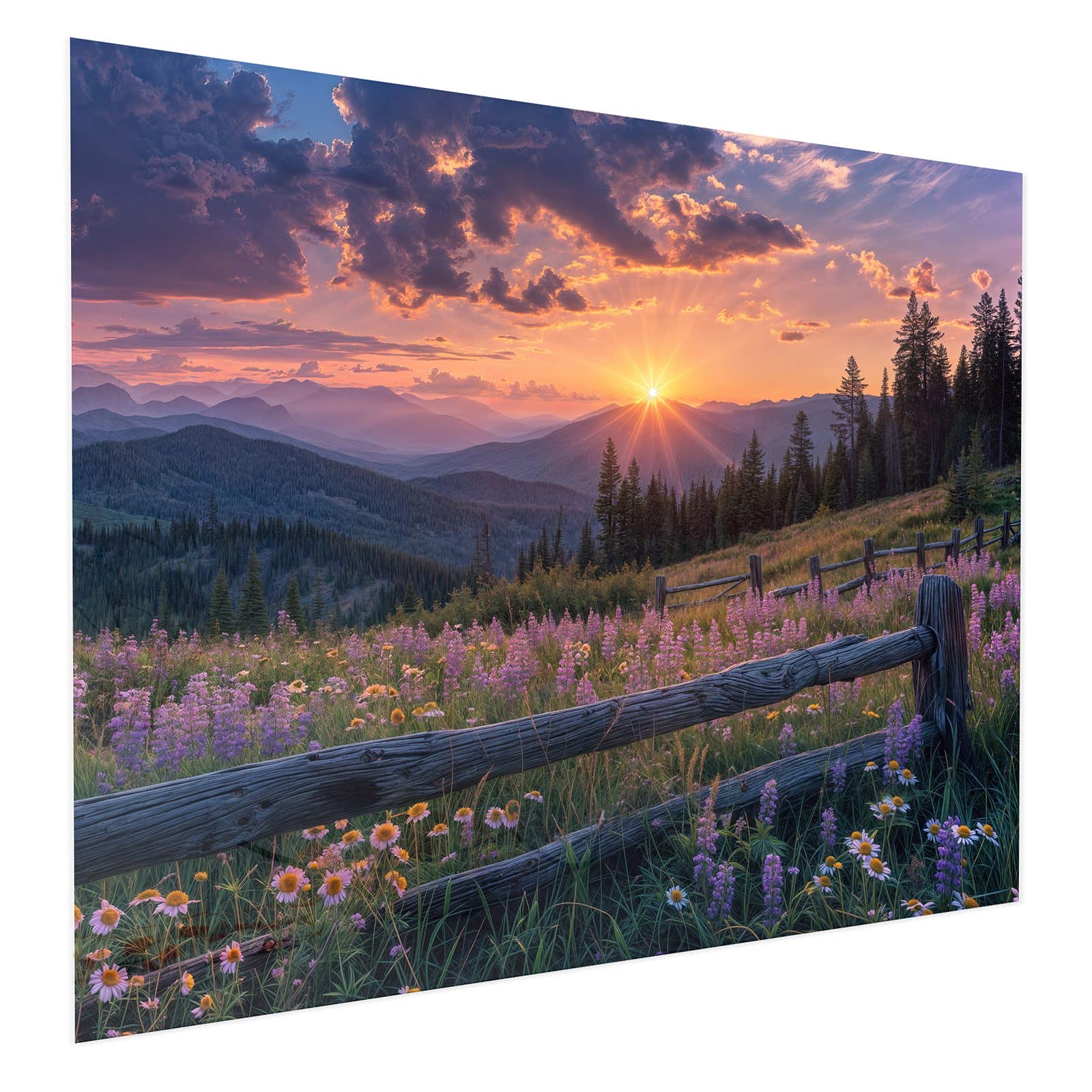 #grösse_75 x 60 cm #grösse_100 x 80 cm