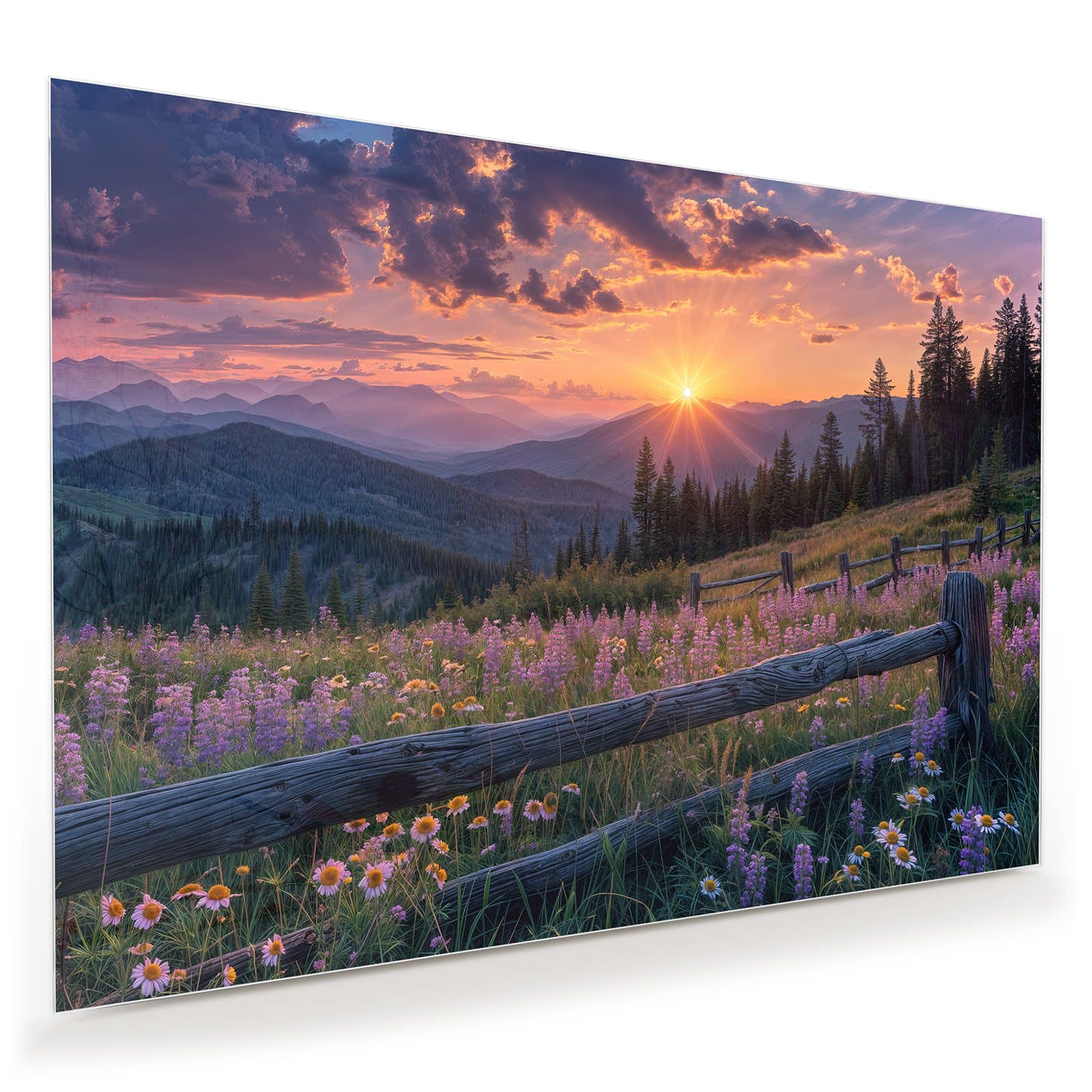 #grösse_100 x 70 cm