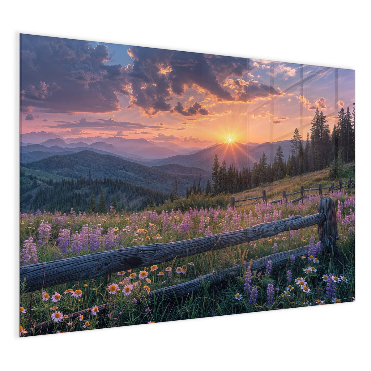 4 mm Glas statt lackiertem Blech – Glas Magnettafel - Lila Blüten am Zaun