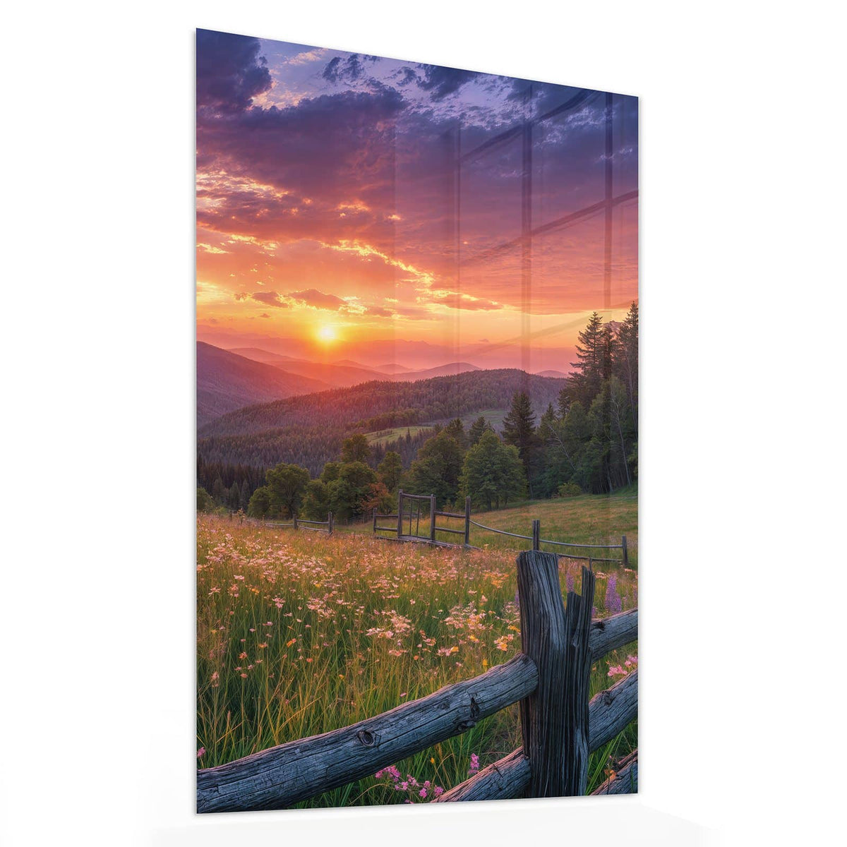 Glasbild Blumenwiese mit Holzzaun von der Seite, 4 mm Echtglas