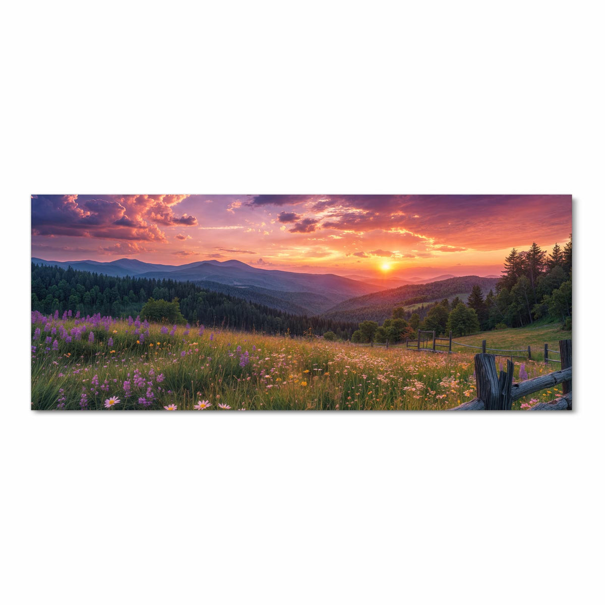 Wildblumenwiese hinter einem groben Holzzaun, Sonnenuntergang über bewaldeten Hügeln