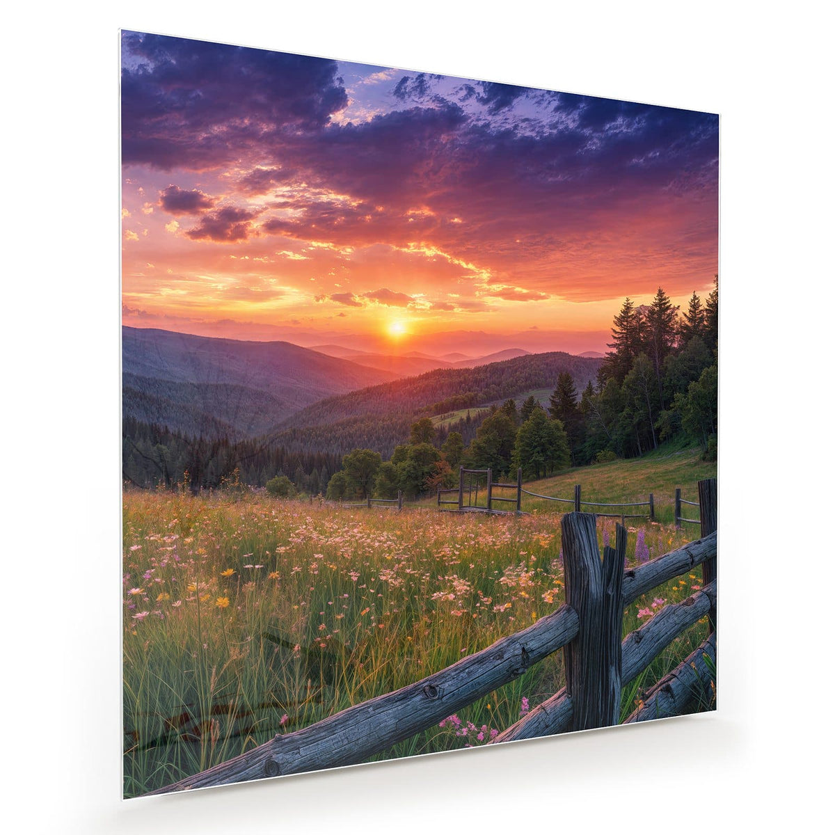Wildblumenwiese hinter einem groben Holzzaun, Sonnenuntergang über bewaldeten Hügeln