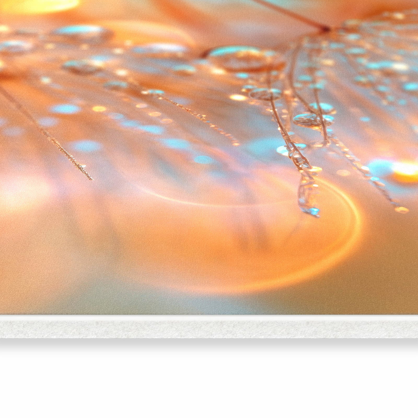 #grösse_80 x 250 cm