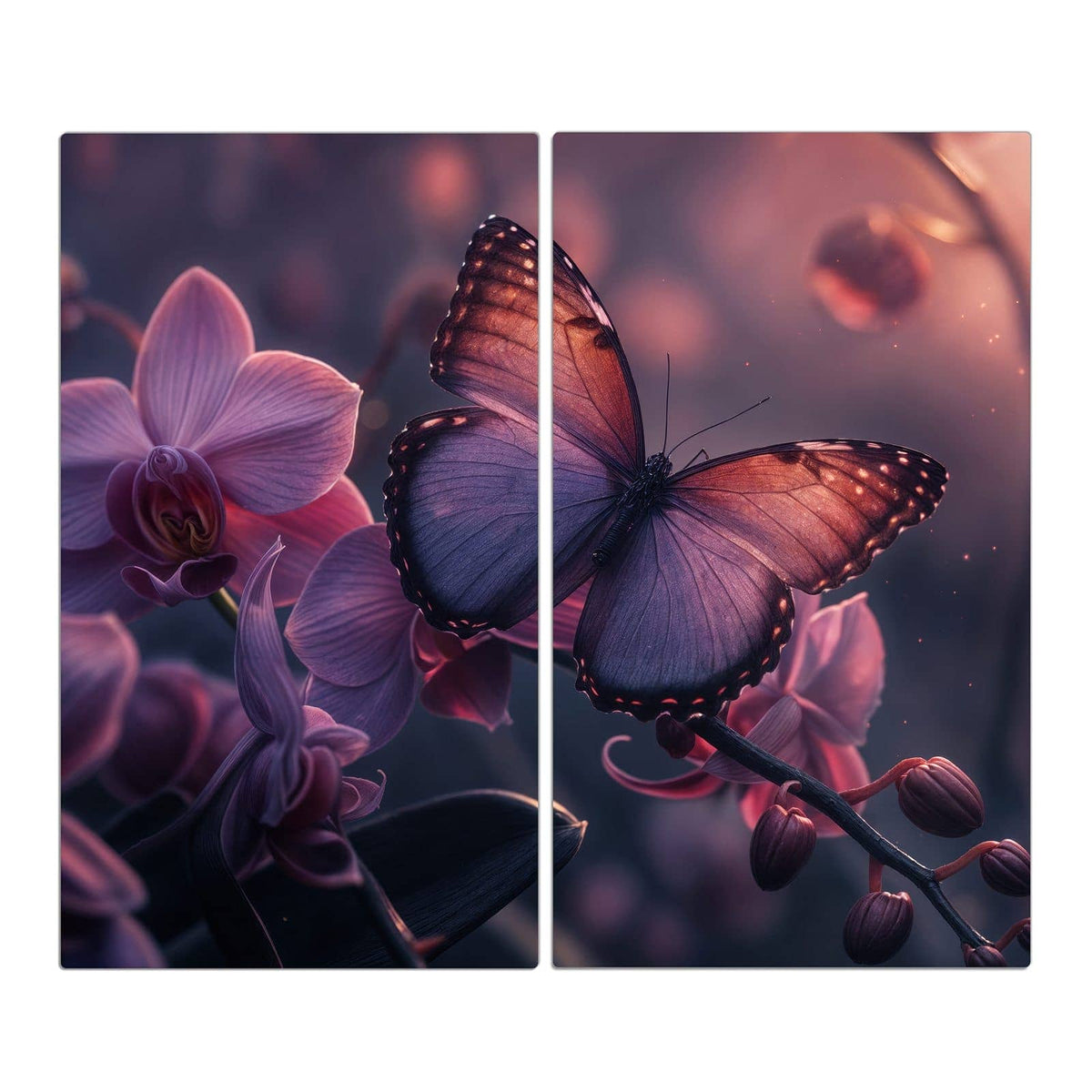 violett-kupferner Schmetterling auf lila Orchideenblüten in dunklem Licht