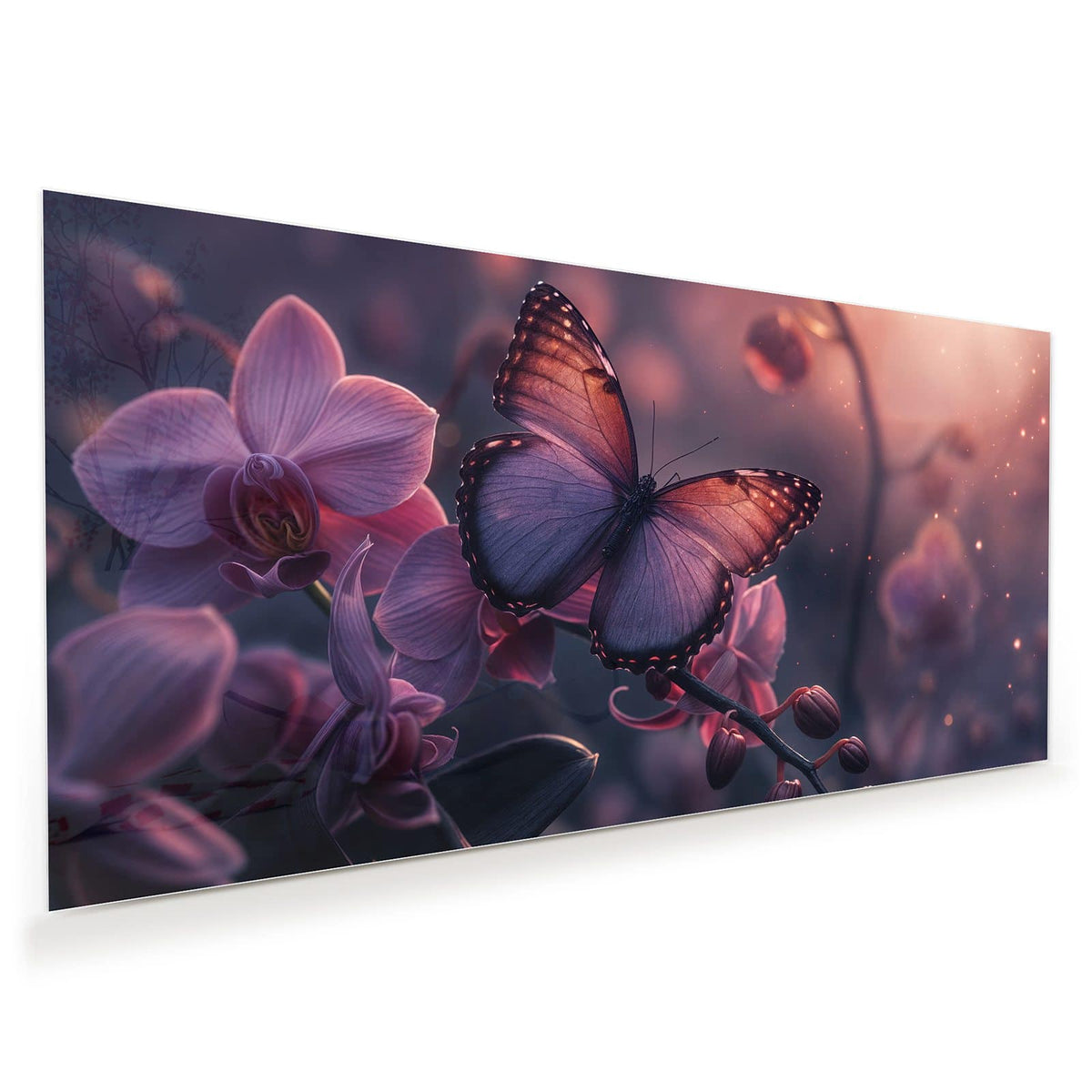 violett-kupferner Schmetterling auf lila Orchideenblüten in dunklem Licht