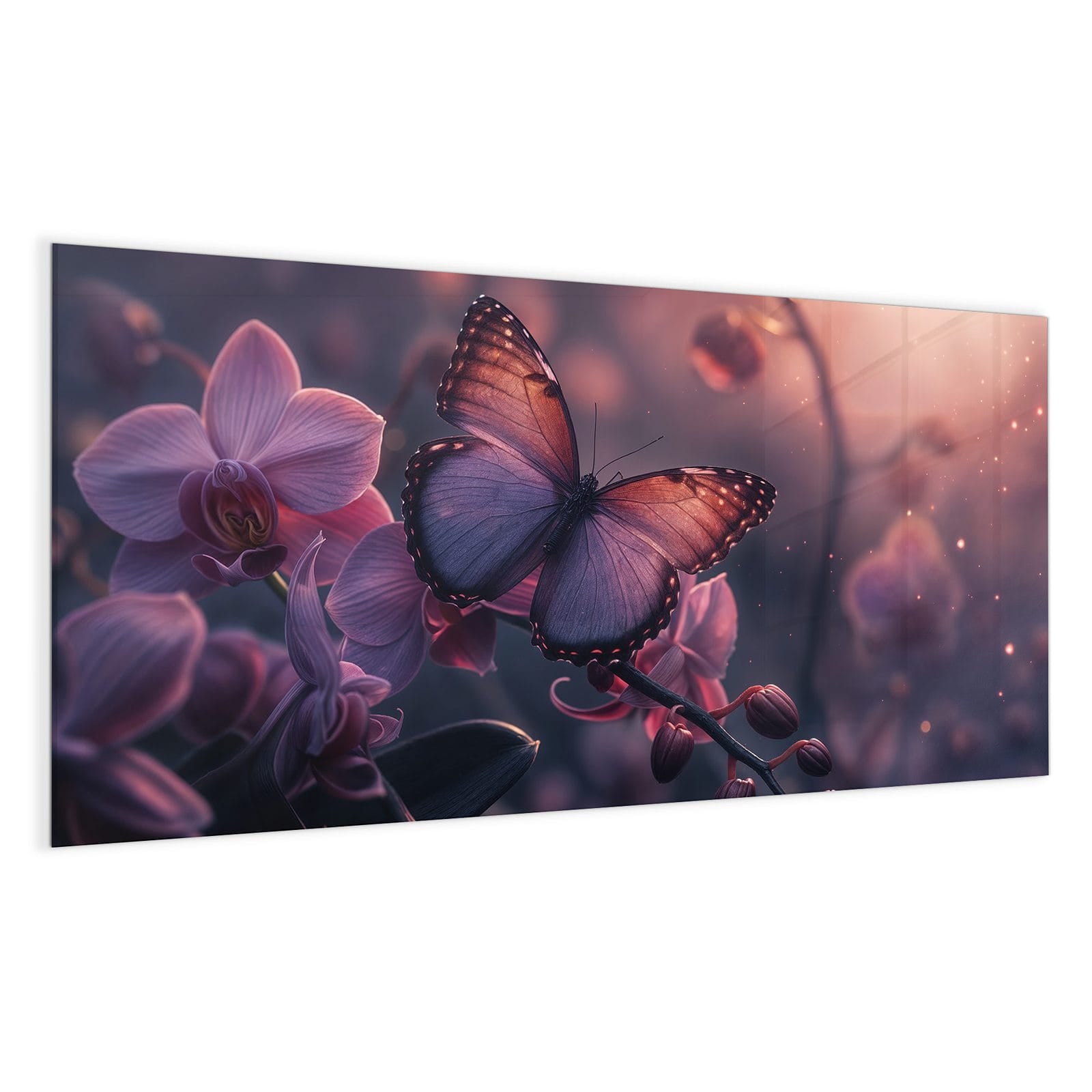 #grösse_100 x 50 cm