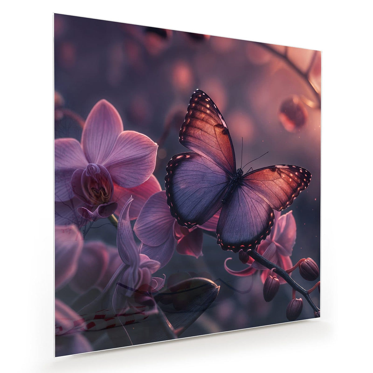violett-kupferner Schmetterling auf lila Orchideenblüten in dunklem Licht