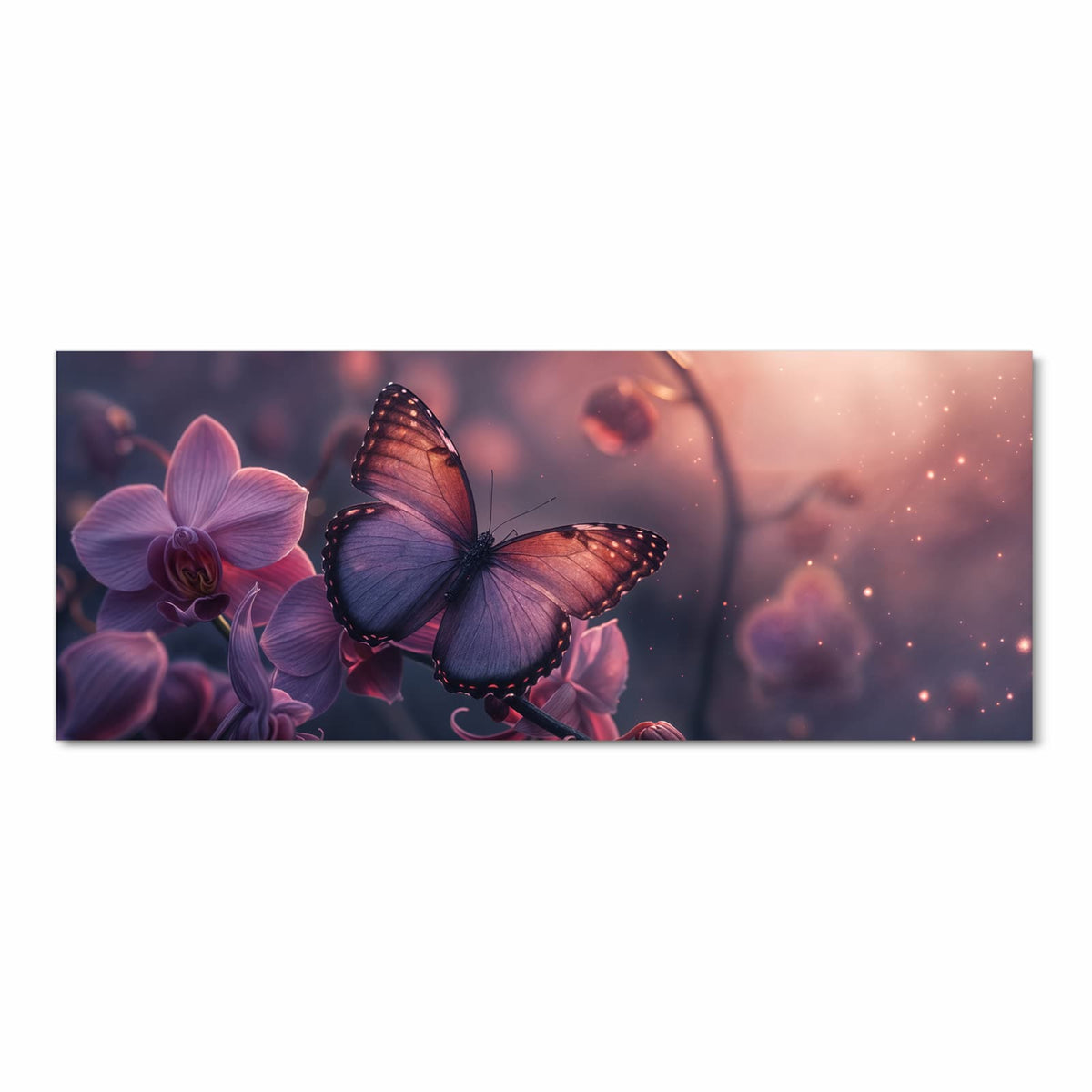 violett-kupferner Schmetterling auf lila Orchideenblüten in dunklem Licht