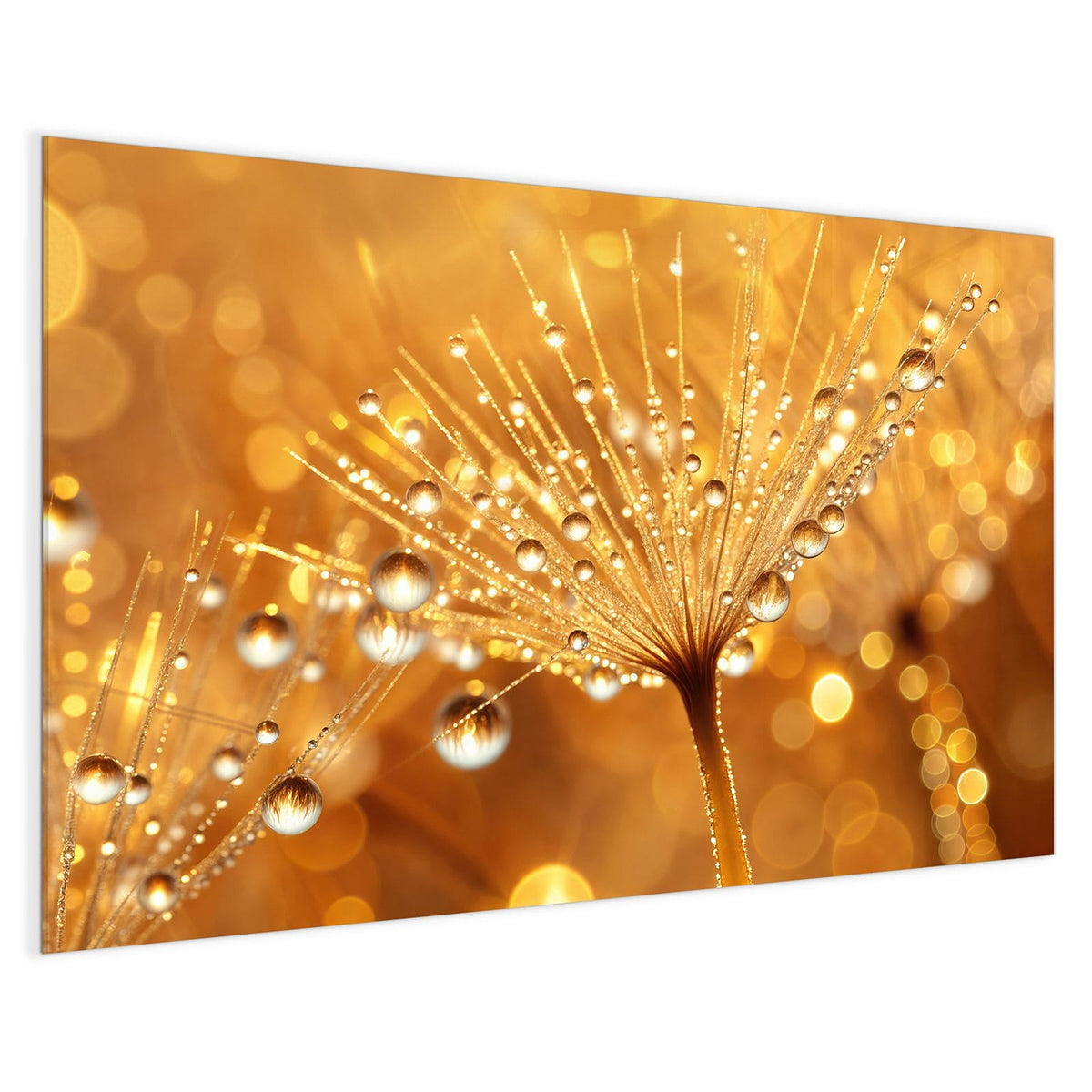 4 mm Glas statt lackiertem Blech – Magnettafel - Pusteblume voll Tau