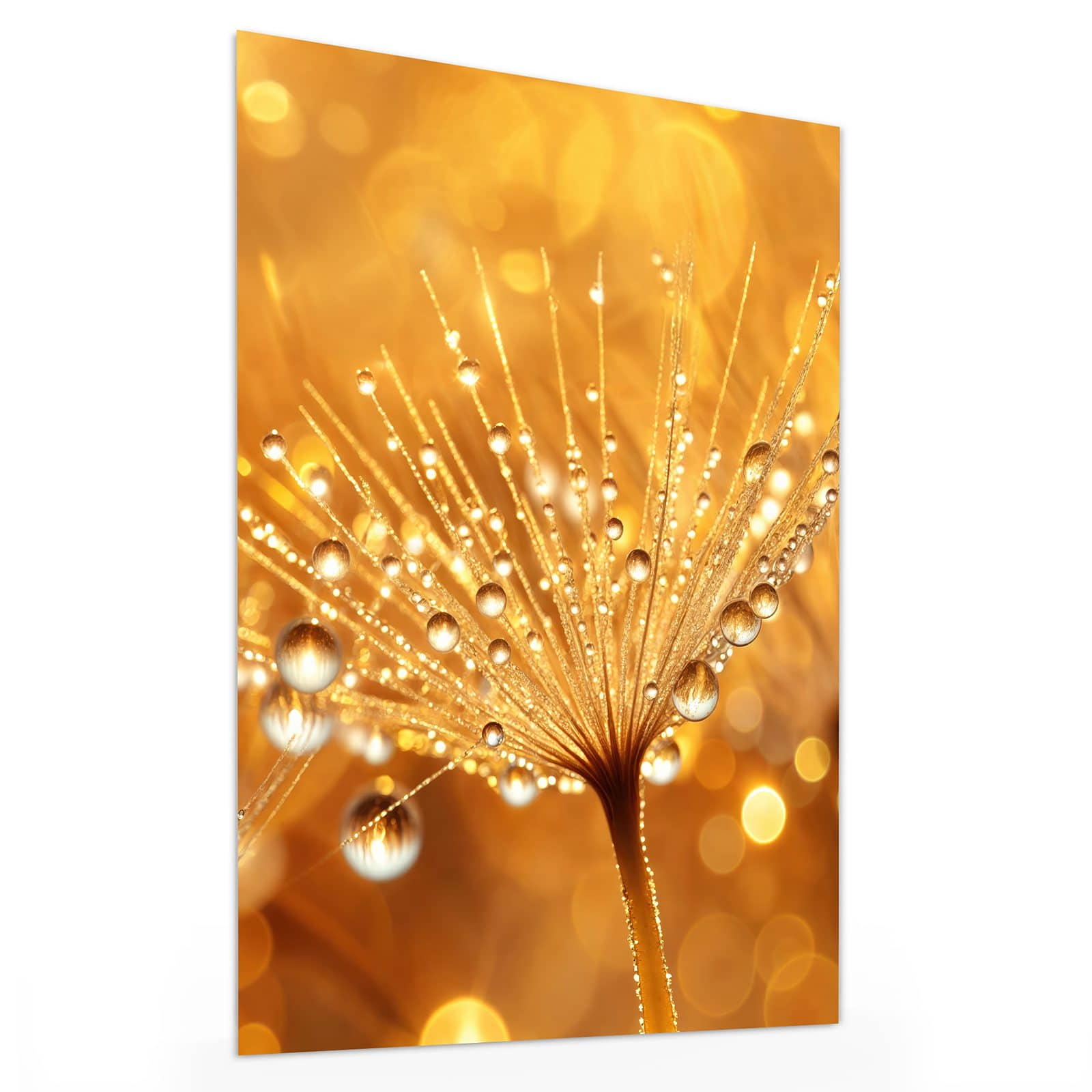 #grösse_30 x 40 cm #grösse_60 x 80 cm #grösse_75 x 100 cm