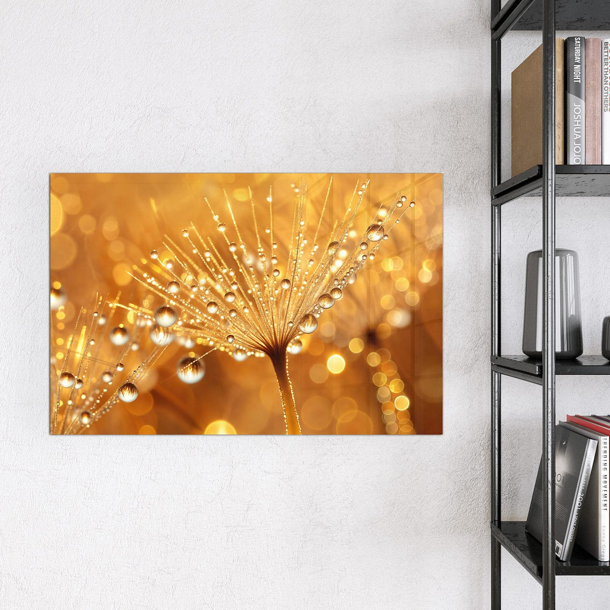 9 Größen – von 30 × 30 bis 120 × 90 cm – Magnettafel - Pusteblume voll Tau