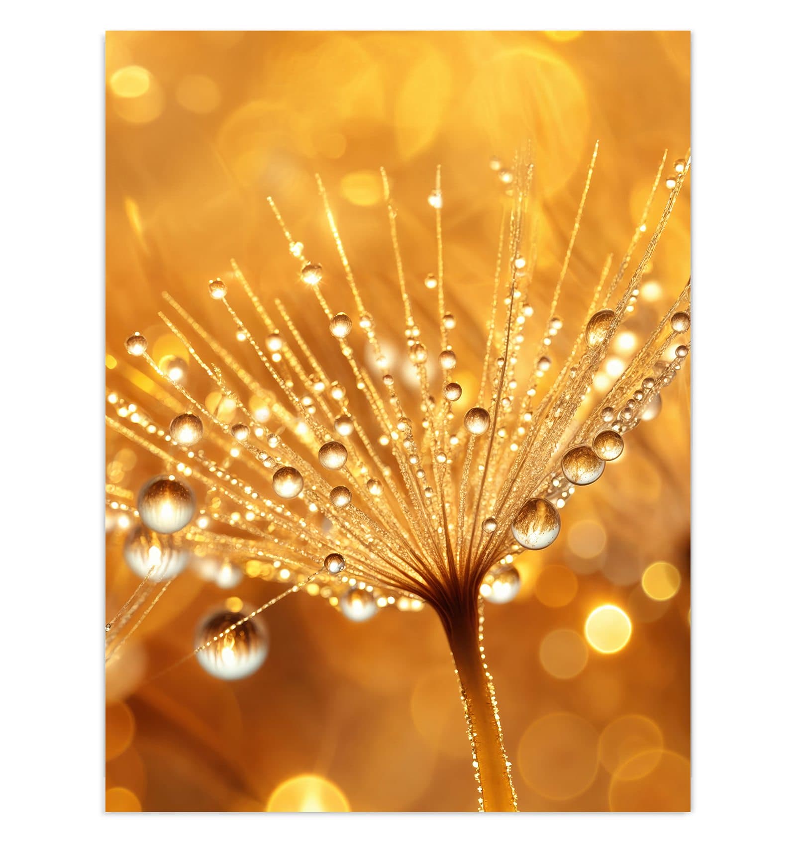#grösse_30 x 40 cm #grösse_60 x 80 cm #grösse_75 x 100 cm
