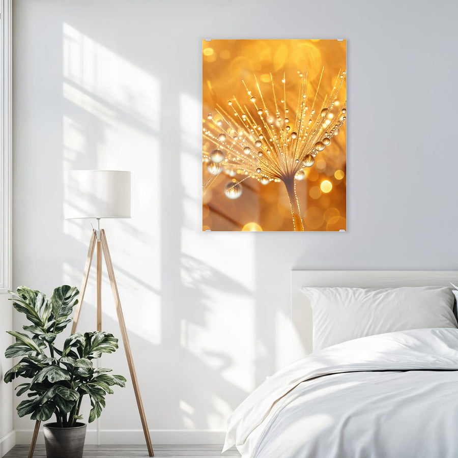 Maße Wandbild - Pusteblume voll Tau - Hochformat