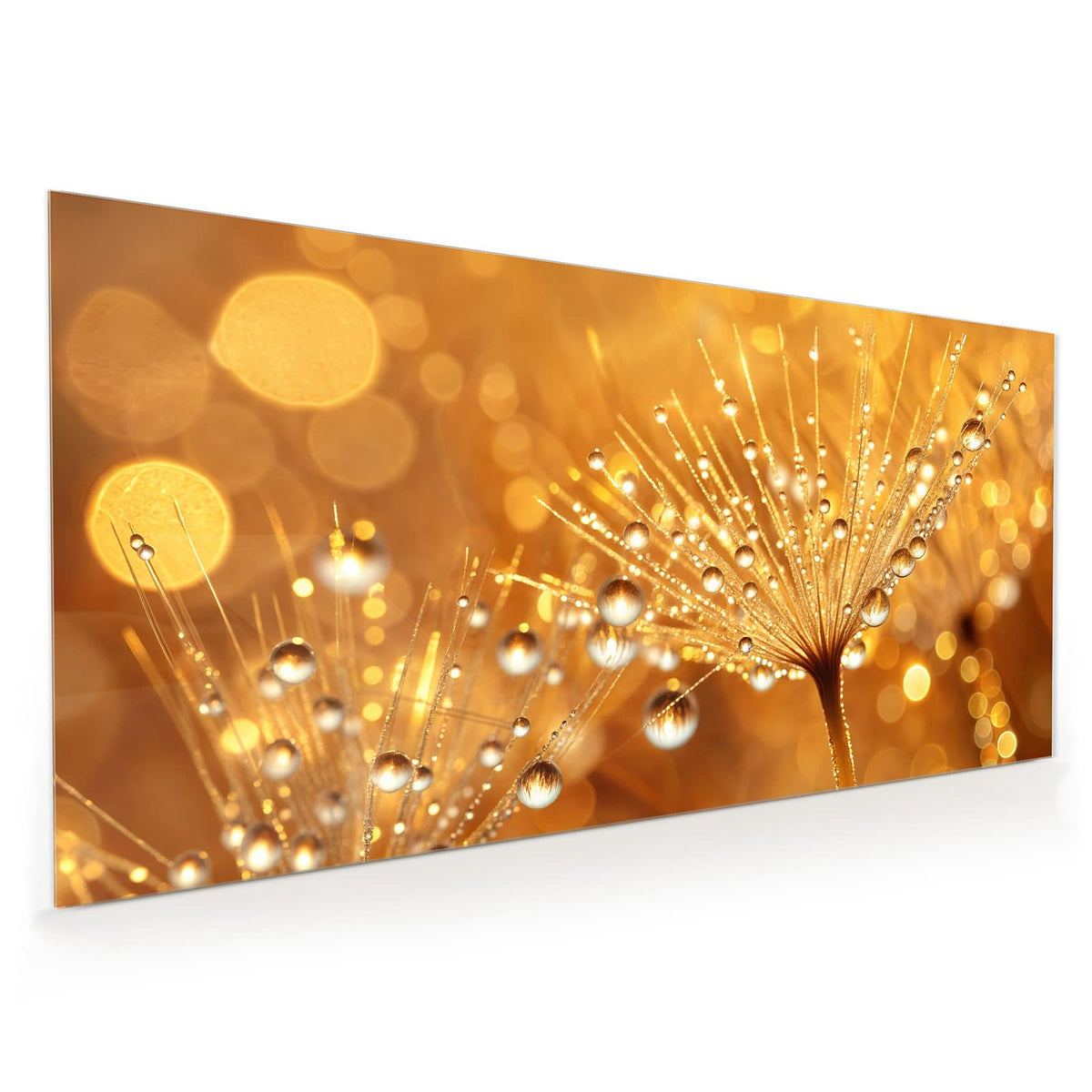 Küchenrückwand aus Glas im Hochformat mit Motiv Pusteblume voll Tau: Löwenzahnschirmchen voller funkelnder Wassertropfen vor goldenen Lichtpunkten.