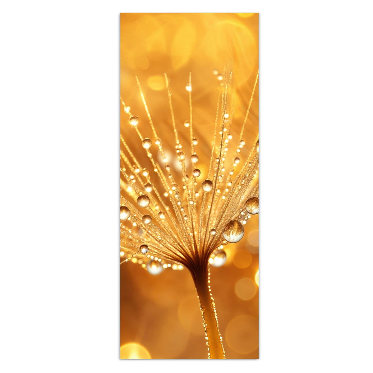 Löwenzahnschirmchen voller funkelnder Wassertropfen vor goldenen Lichtpunkten.