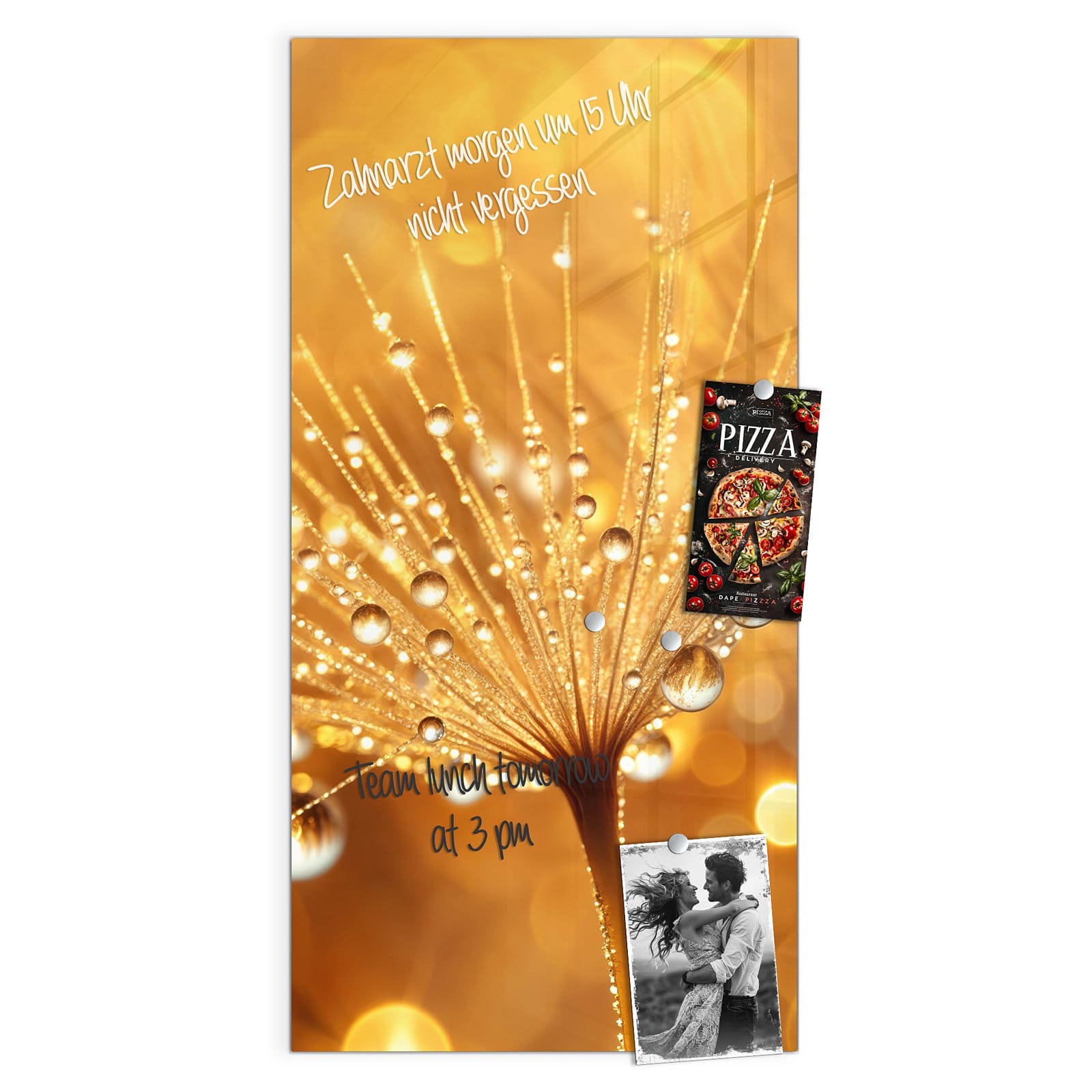 #grösse_50 x 100 cm