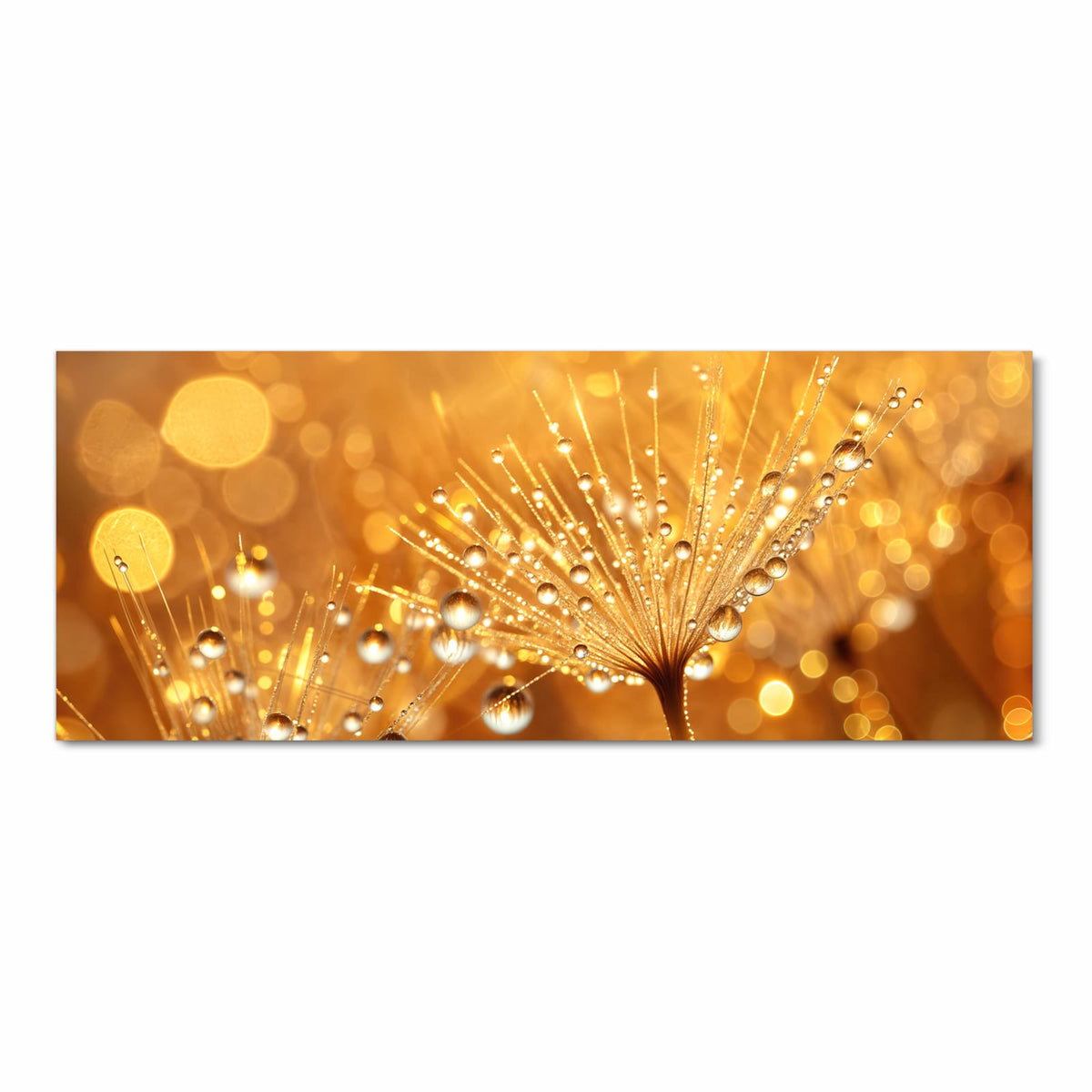 Löwenzahnschirmchen voller funkelnder Wassertropfen vor goldenen Lichtpunkten.