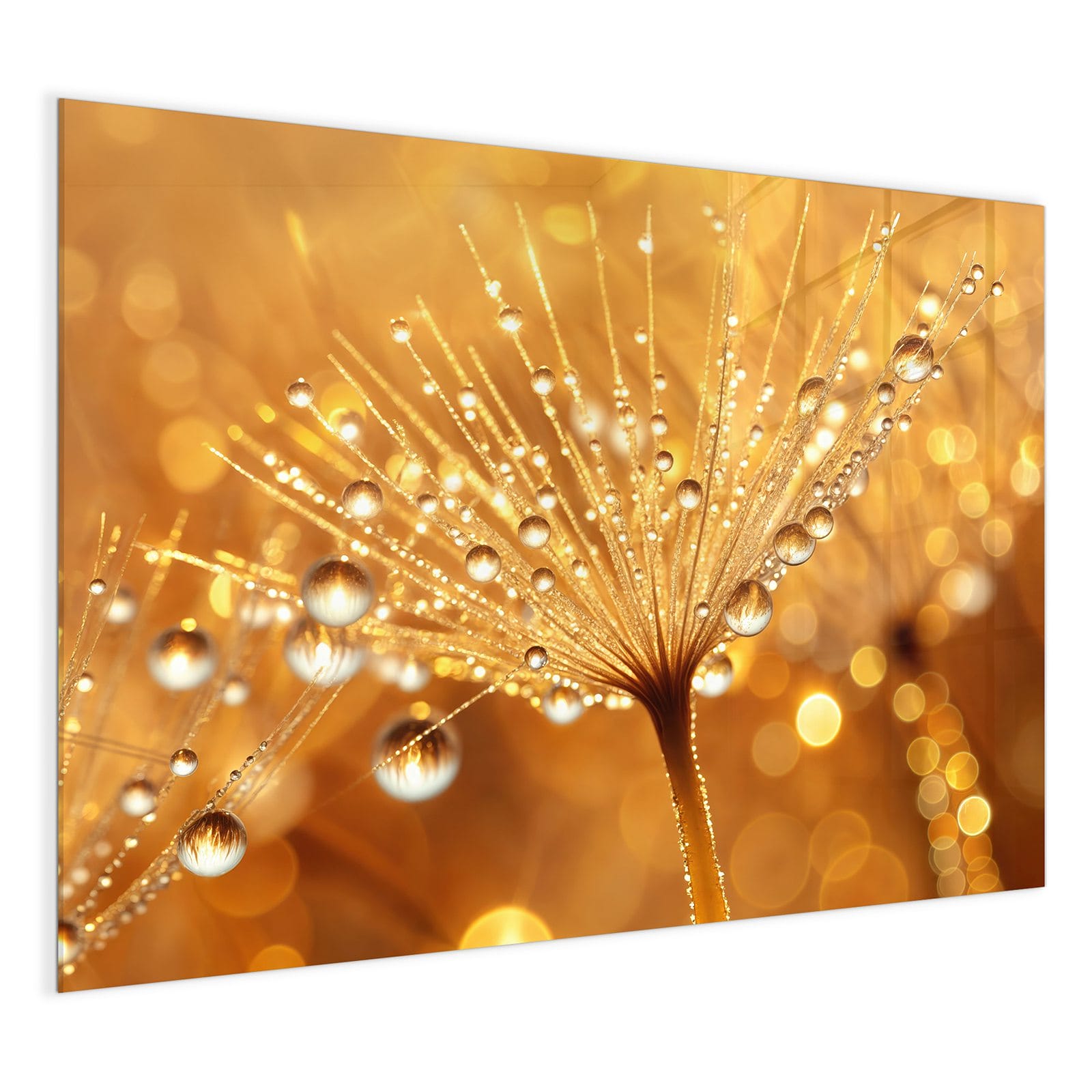 #grösse_120 x 90 cm