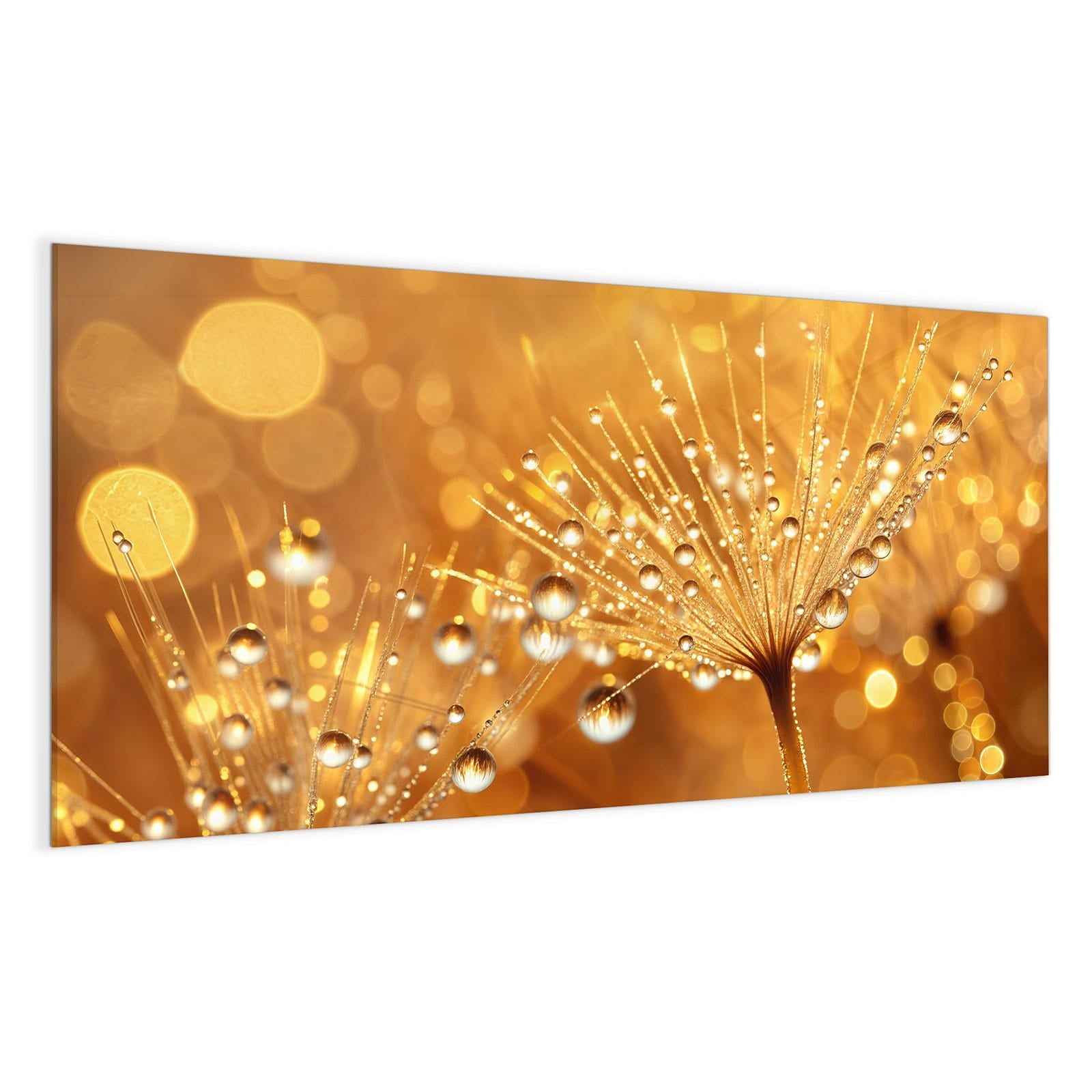 #grösse_100 x 50 cm