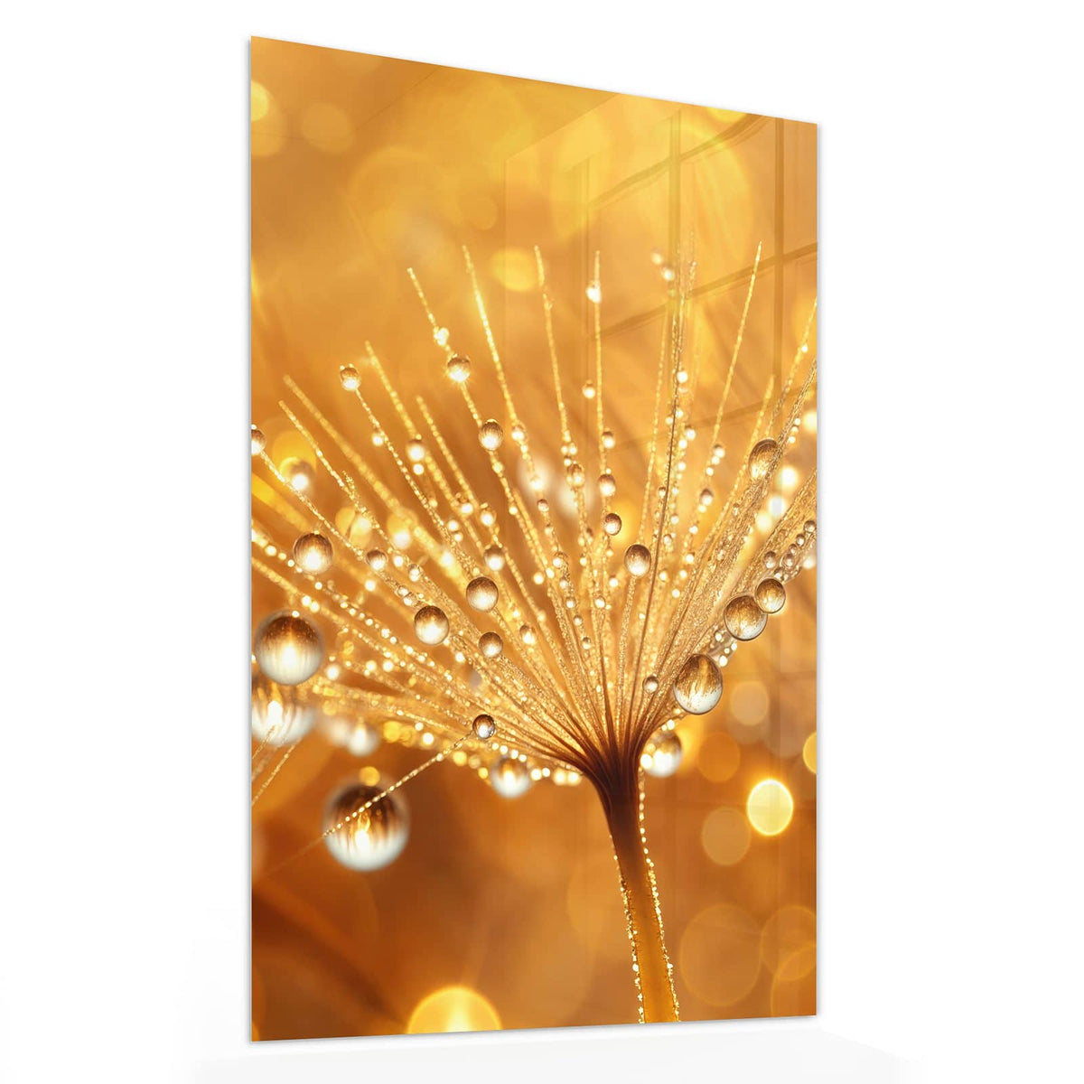 11 Größen – von 30 × 60 bis 60 × 150 cm – Wandbild - Pusteblume voll Tau - Hochformat