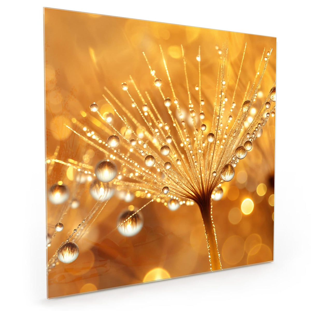 #grösse_40 x 40 cm #grösse_50 x 50 cm #grösse_60 x 60 cm
